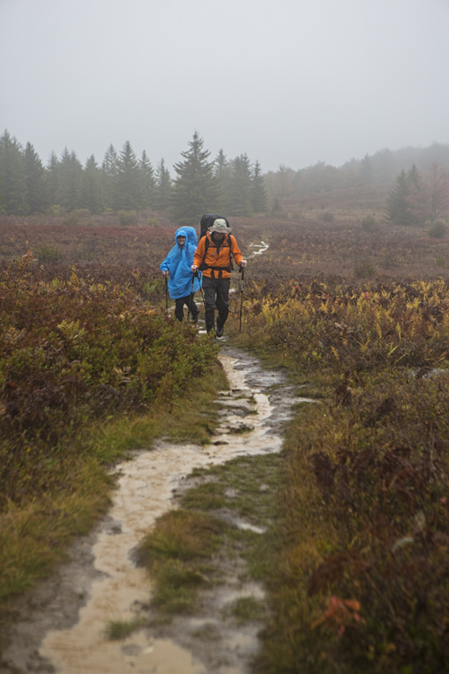 Frank and Loren doing some stream hiking. We did a lot of this. 