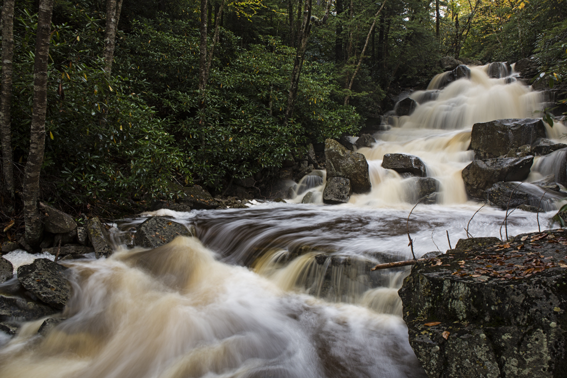 A pretty large waterfall on Stone Coal Run. 