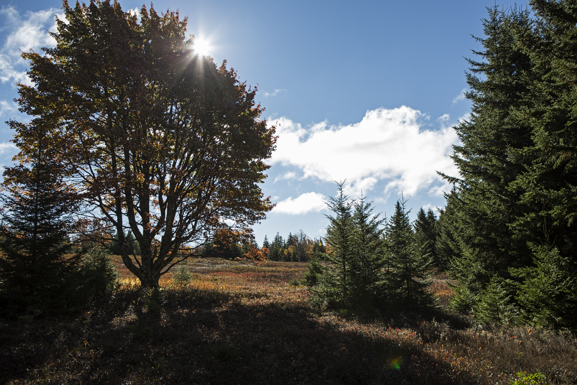 Sunshine and blue skies, it felt so good!