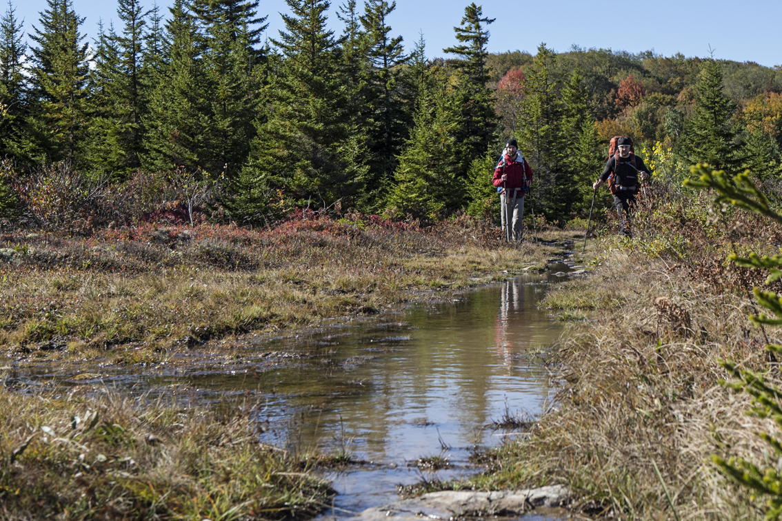 Nate and Loren avoiding the pond that had formed in the middle of the trail.