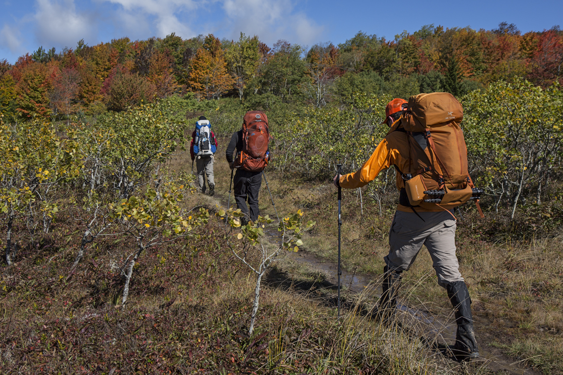 Heading up the hill to our first truly enjoyable lunch spot.