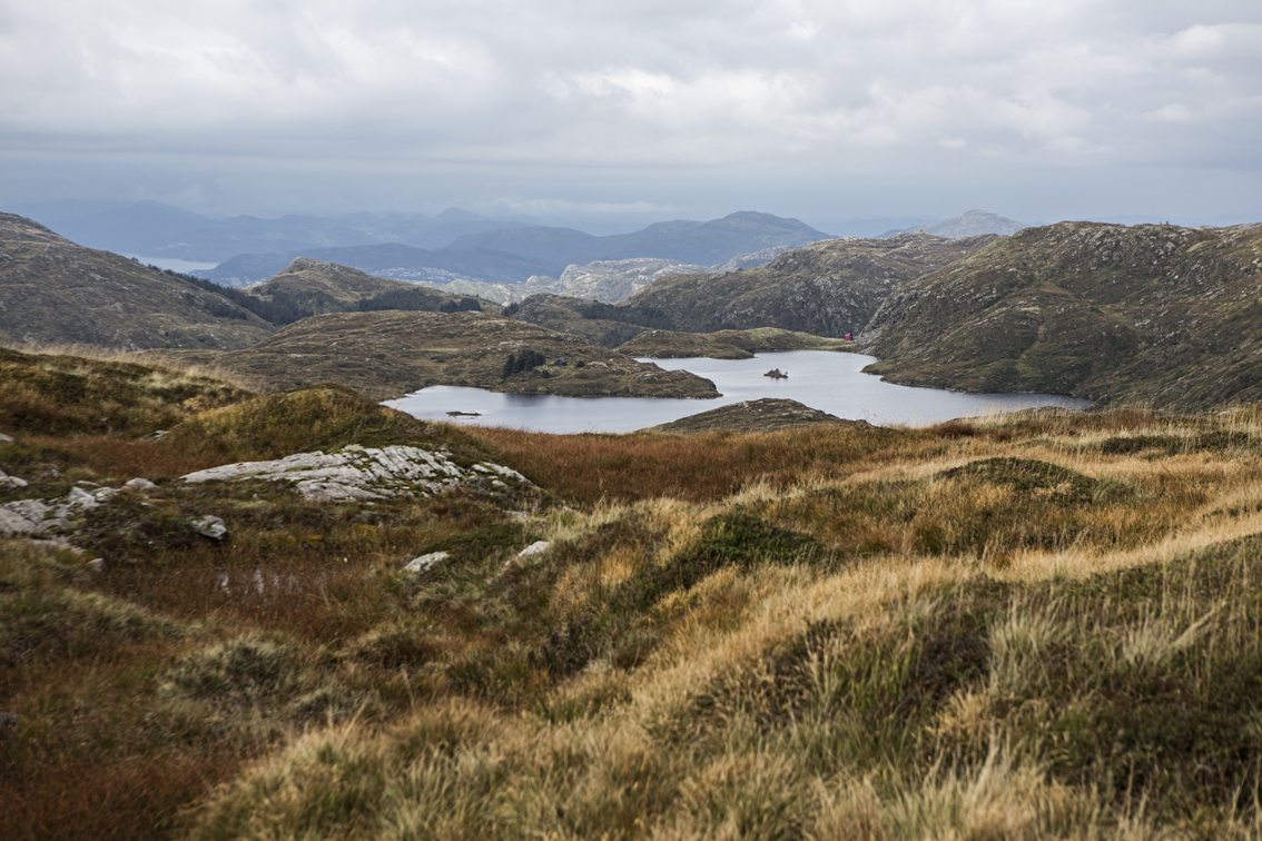 The tops of these mountains were gorgeous - they were covered with small and large lakes, giant boulders, colorful grasses and lichens and dotted with DNT cabins everywhere.