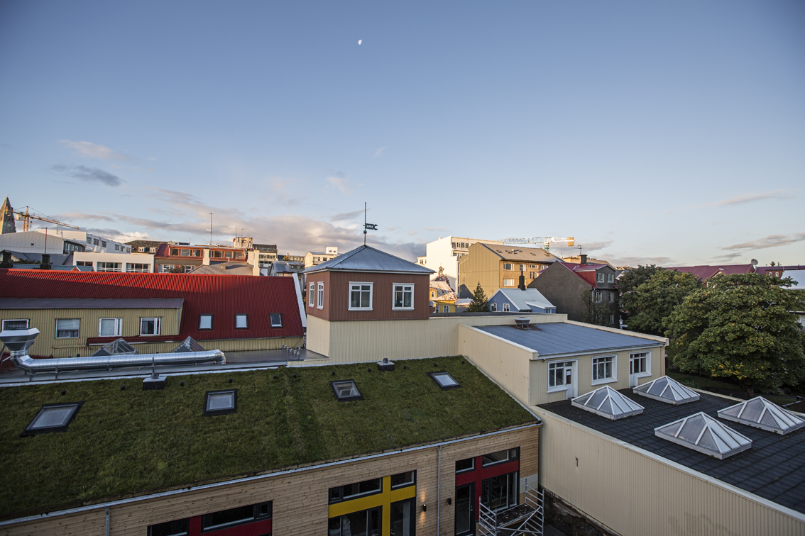 The view from our balcony. Grass on a roof - Iceland is such a green country. 