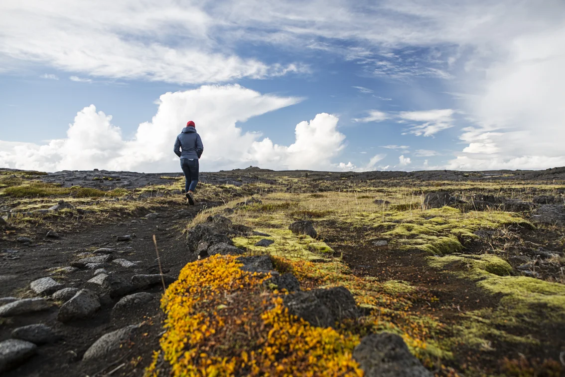 Hafnarberg_Sea_Cliffs_Iceland-1156.jpg