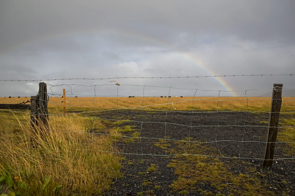 Serious rainbow on the way to Seljalandsfoss waterfall.