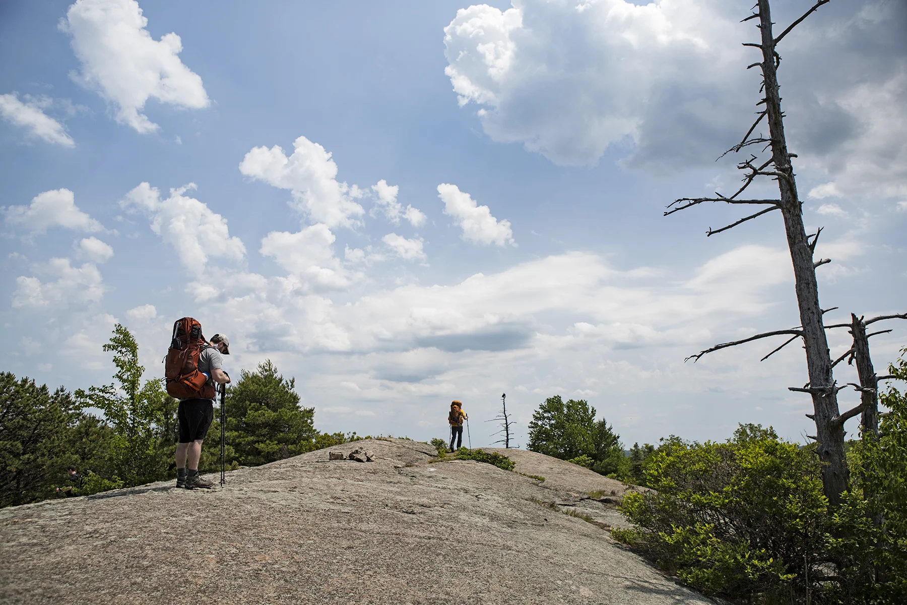 The fellas hiking up the Bald Rocks area on the aptly named Lichen Trail. It was incredibly hot, and if you look close, you can see the vulture in the middle of the frame on a dead tree, he was keeping an eye out for dehydrated hikers.