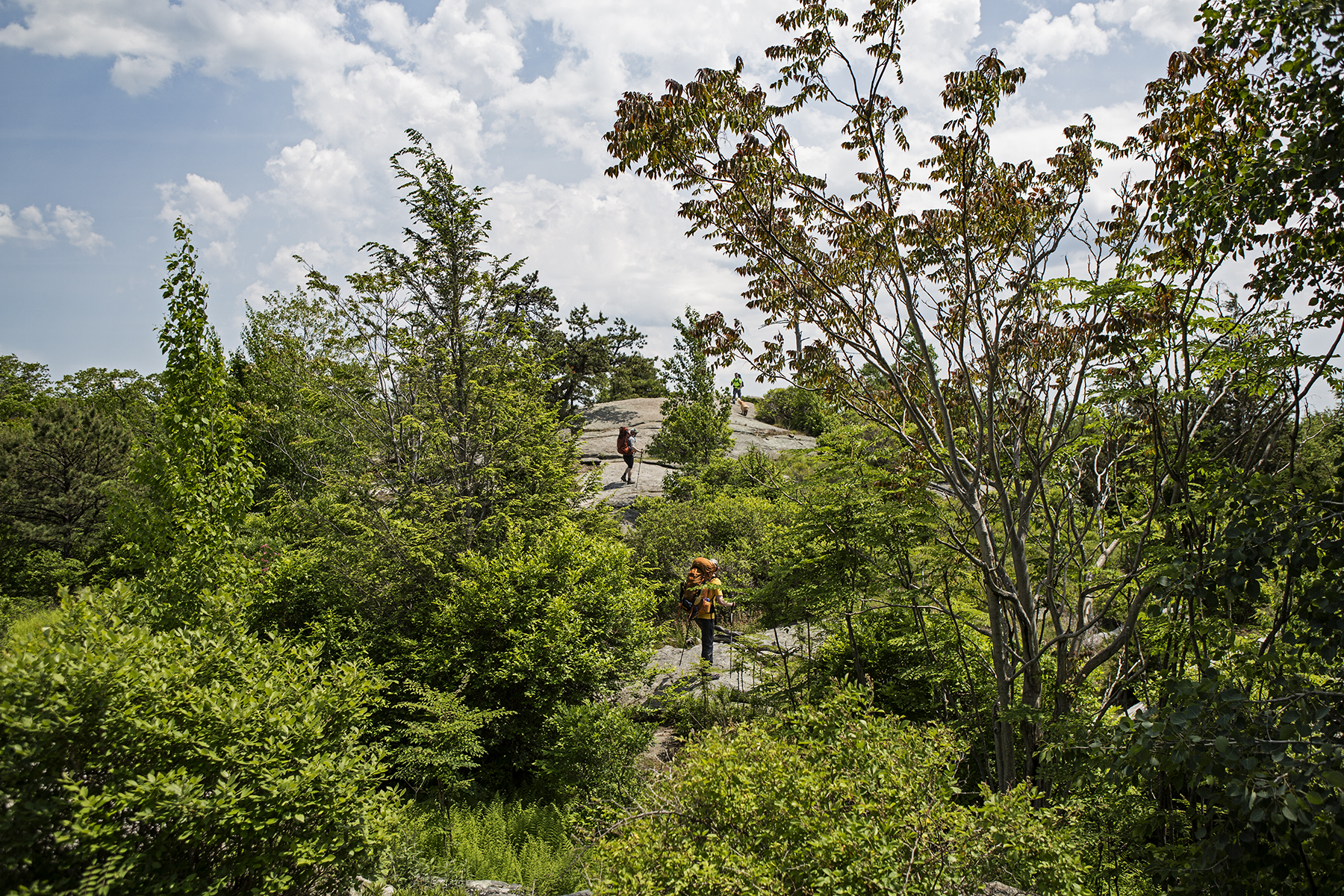 Frank and Loren climbing up a huge boulder on the Lichen Trail.