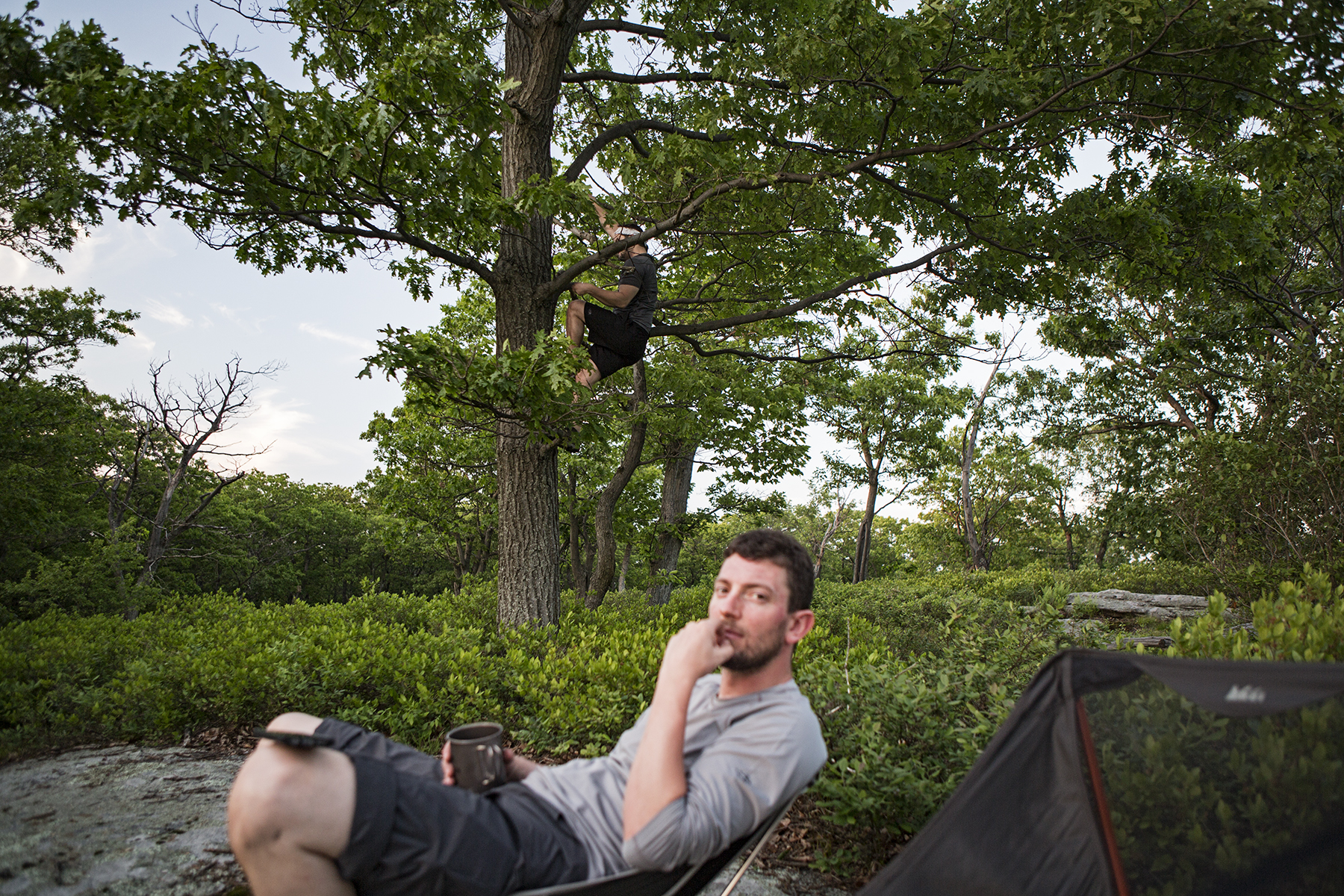 Loren likes to climb trees with out health insurance, its more fun that way.