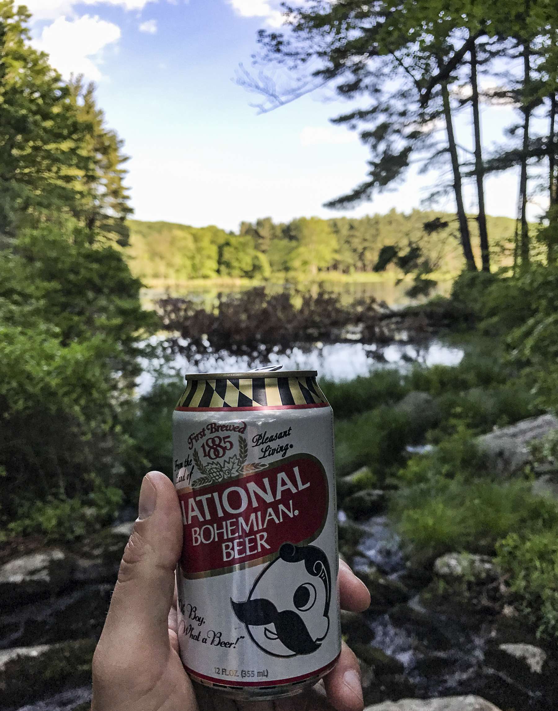 Trail Boh.