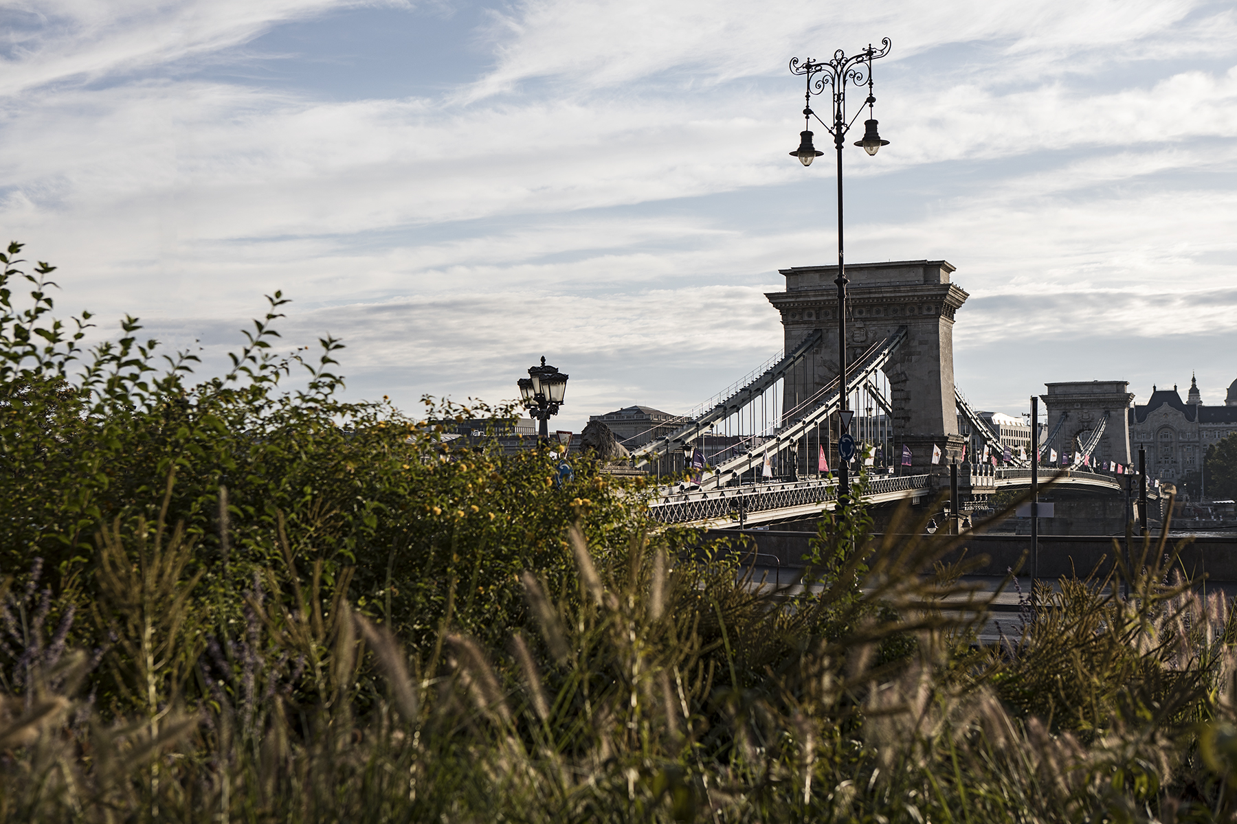 Chainbridge