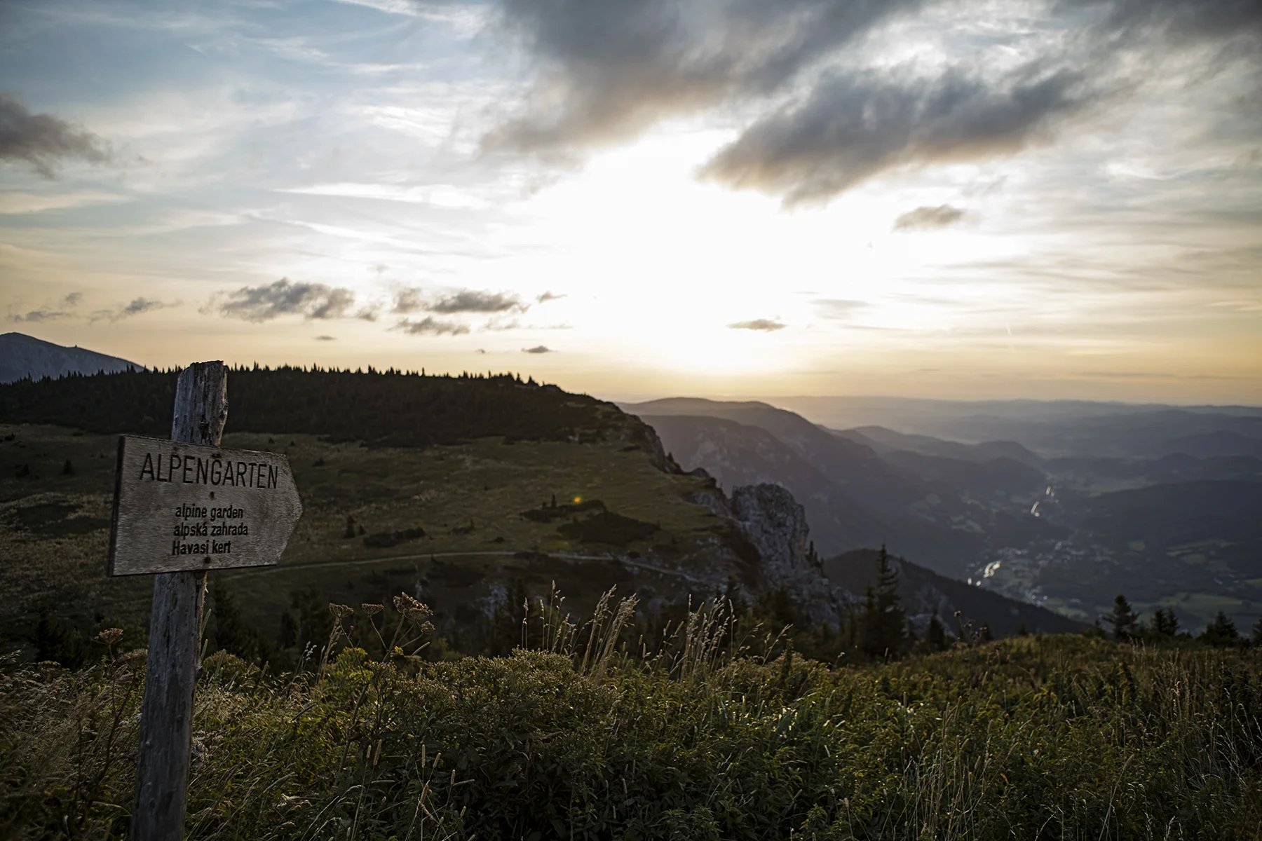 The trail to the Alpengarten - they grow veggies to be used in the kitchen of the Ottohaus here.