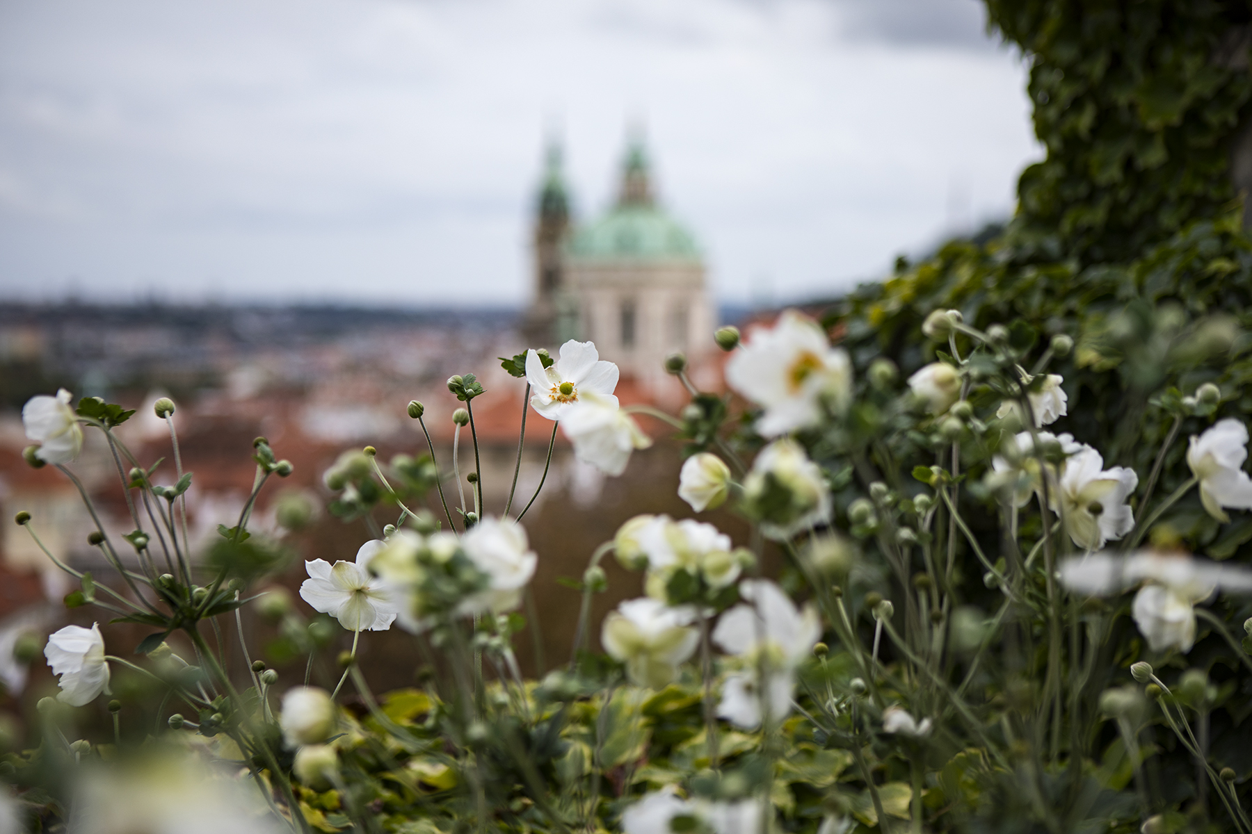 A view from the gardens of Prague Castle.