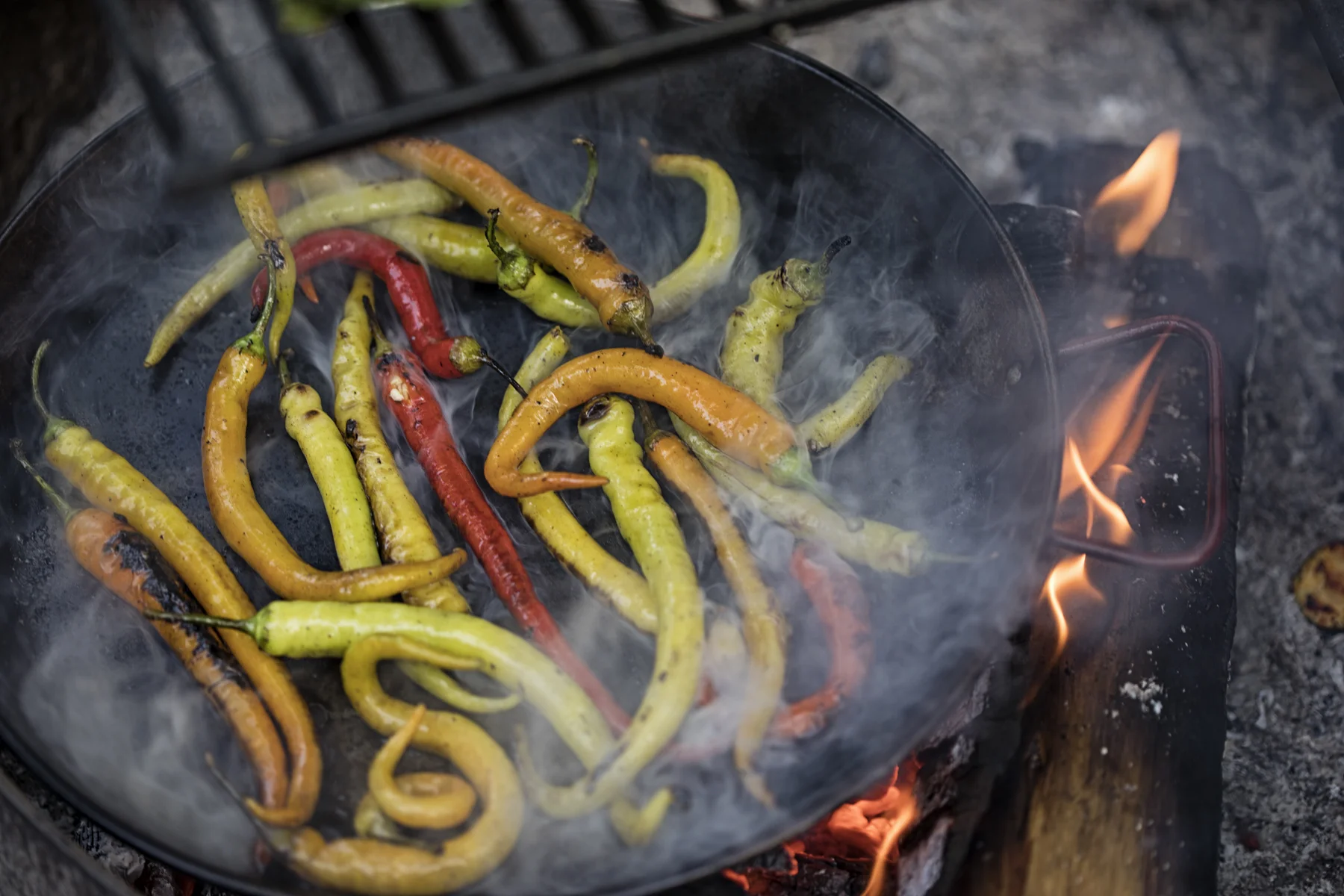 Smoking hot corbaccis. 