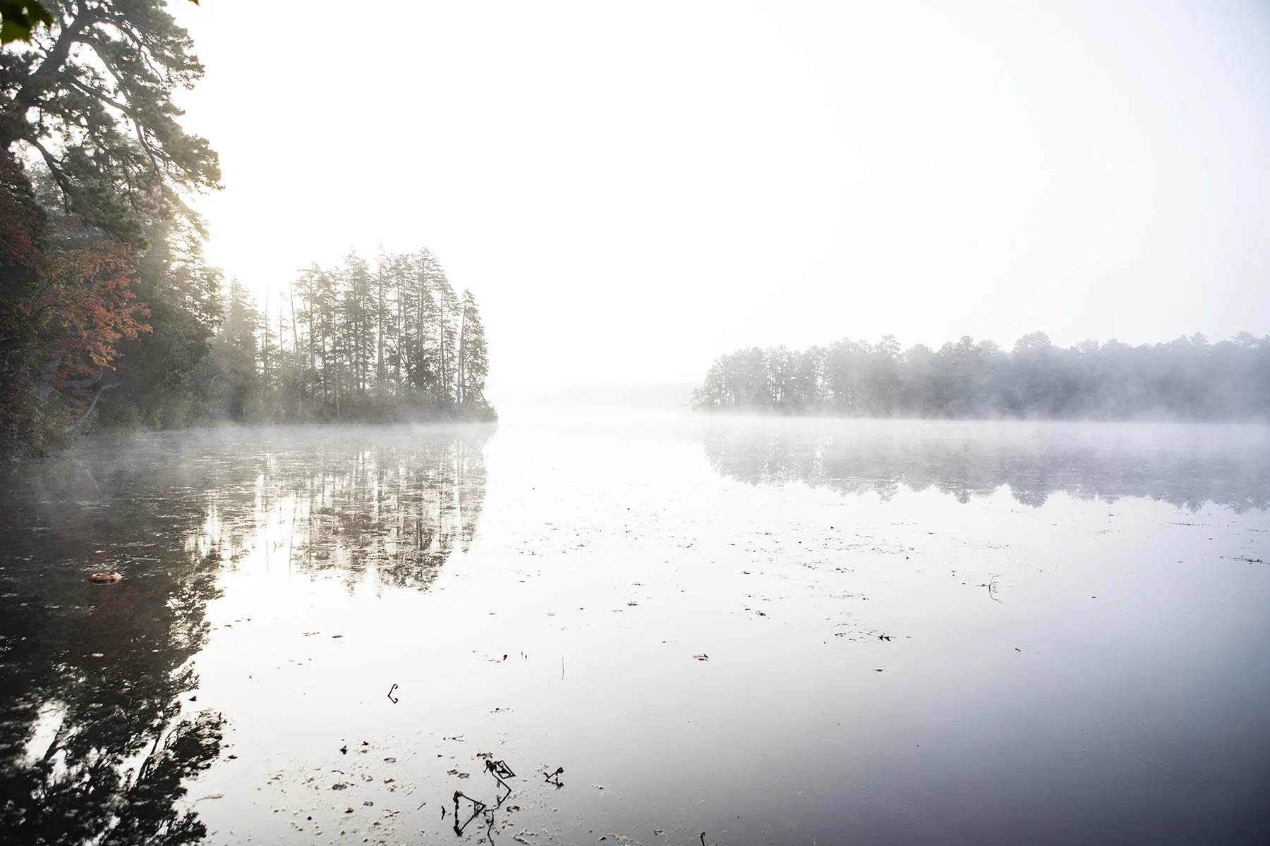 Fog burning off the lake.