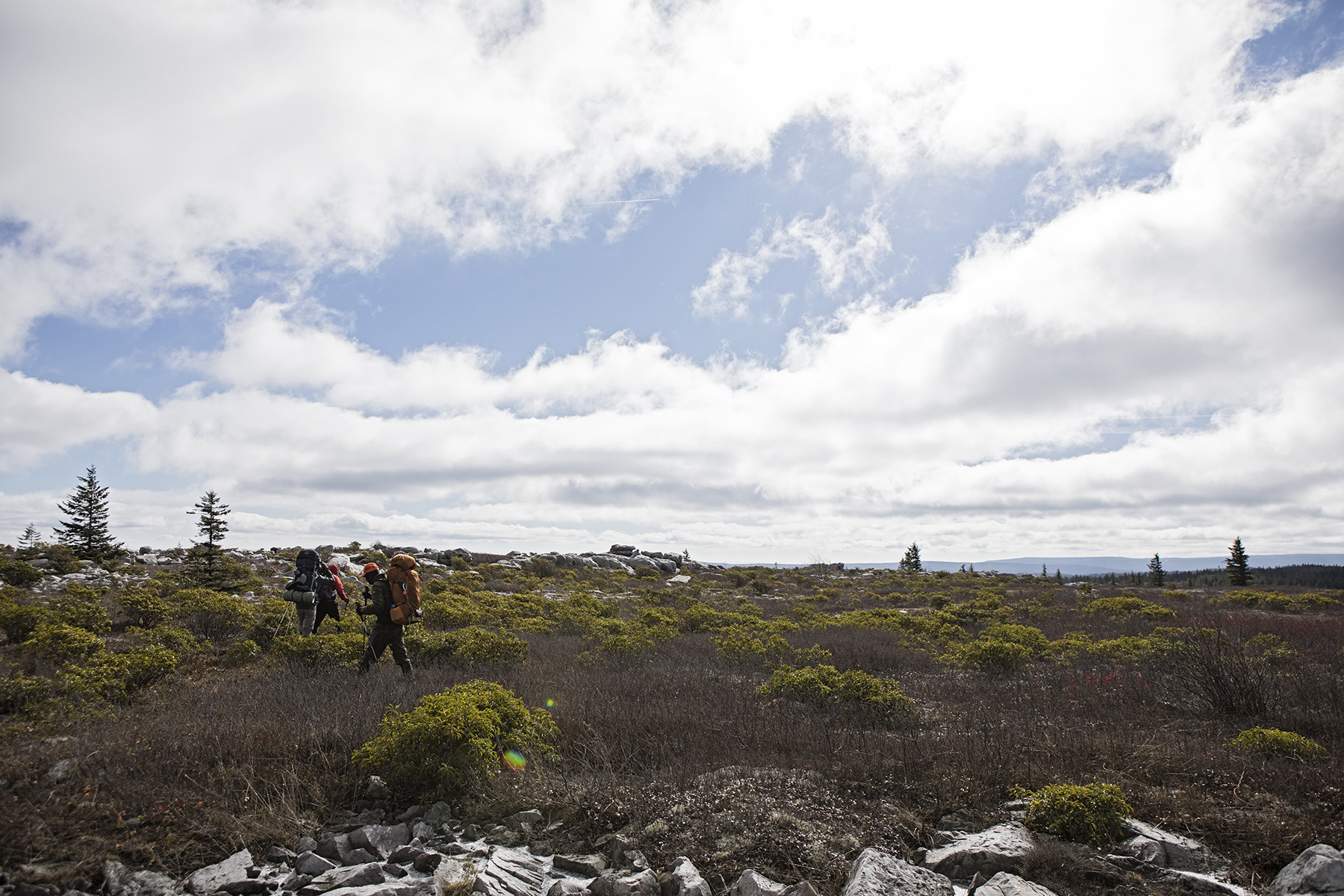 Hiking along the Rocky Ridge trail.
