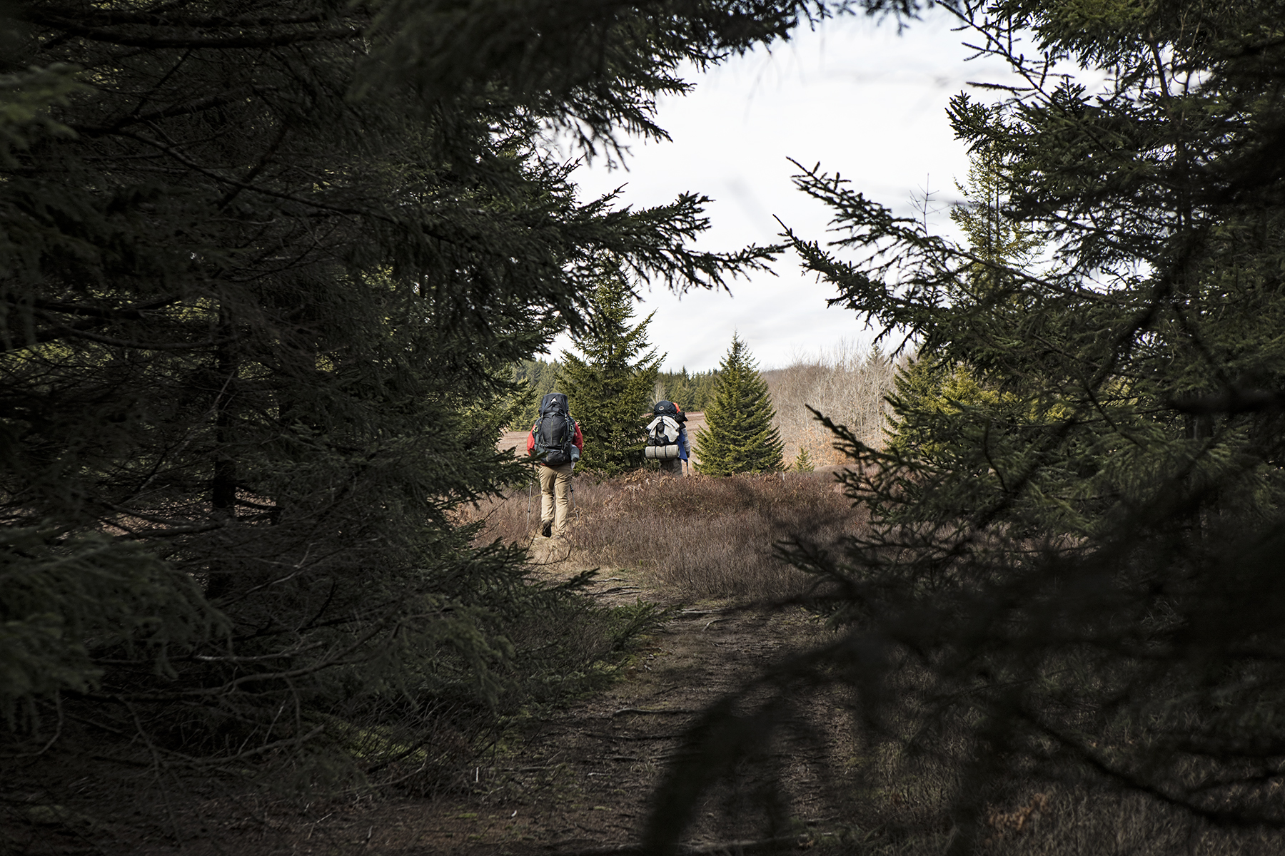 Loren and Nate escaping the shade of the pines.