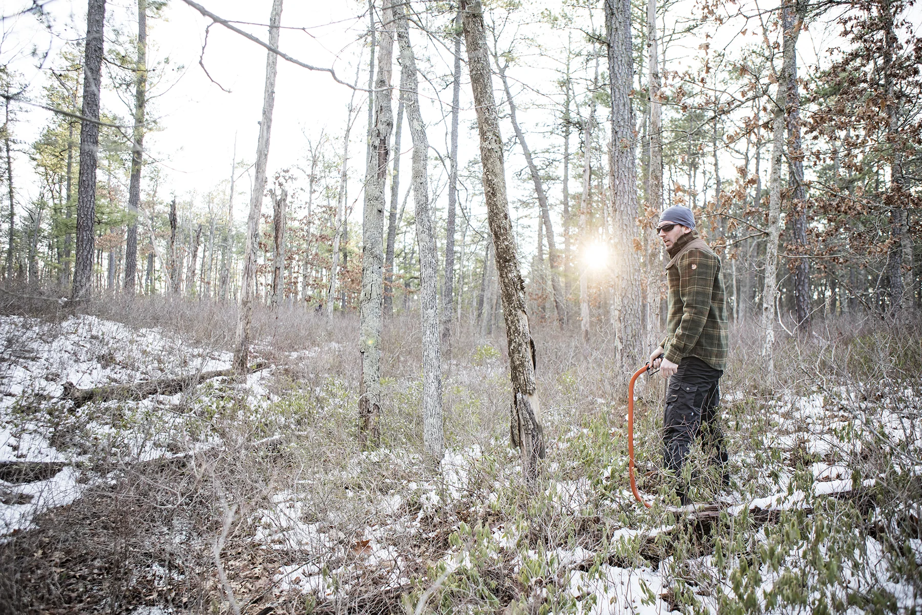 Frank looking for the good wood.