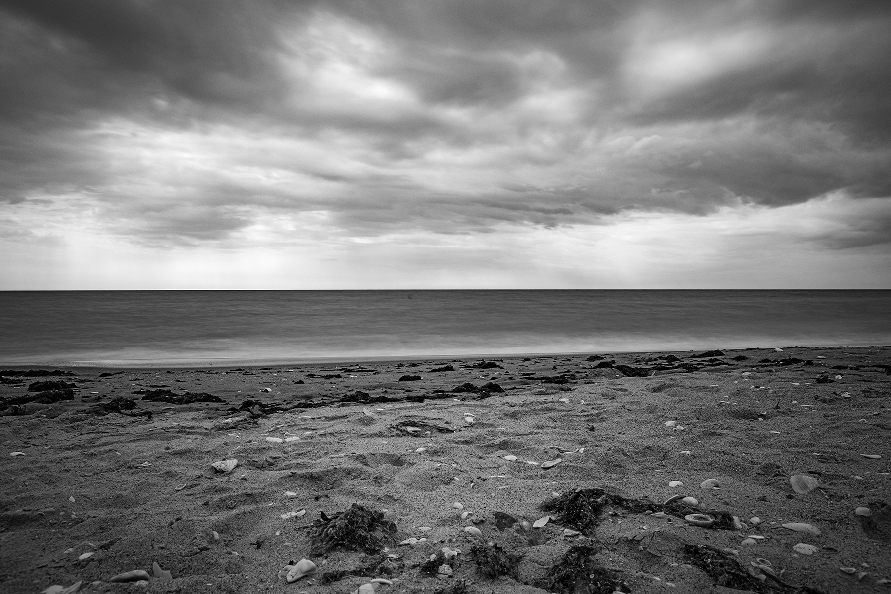 Moody beach day