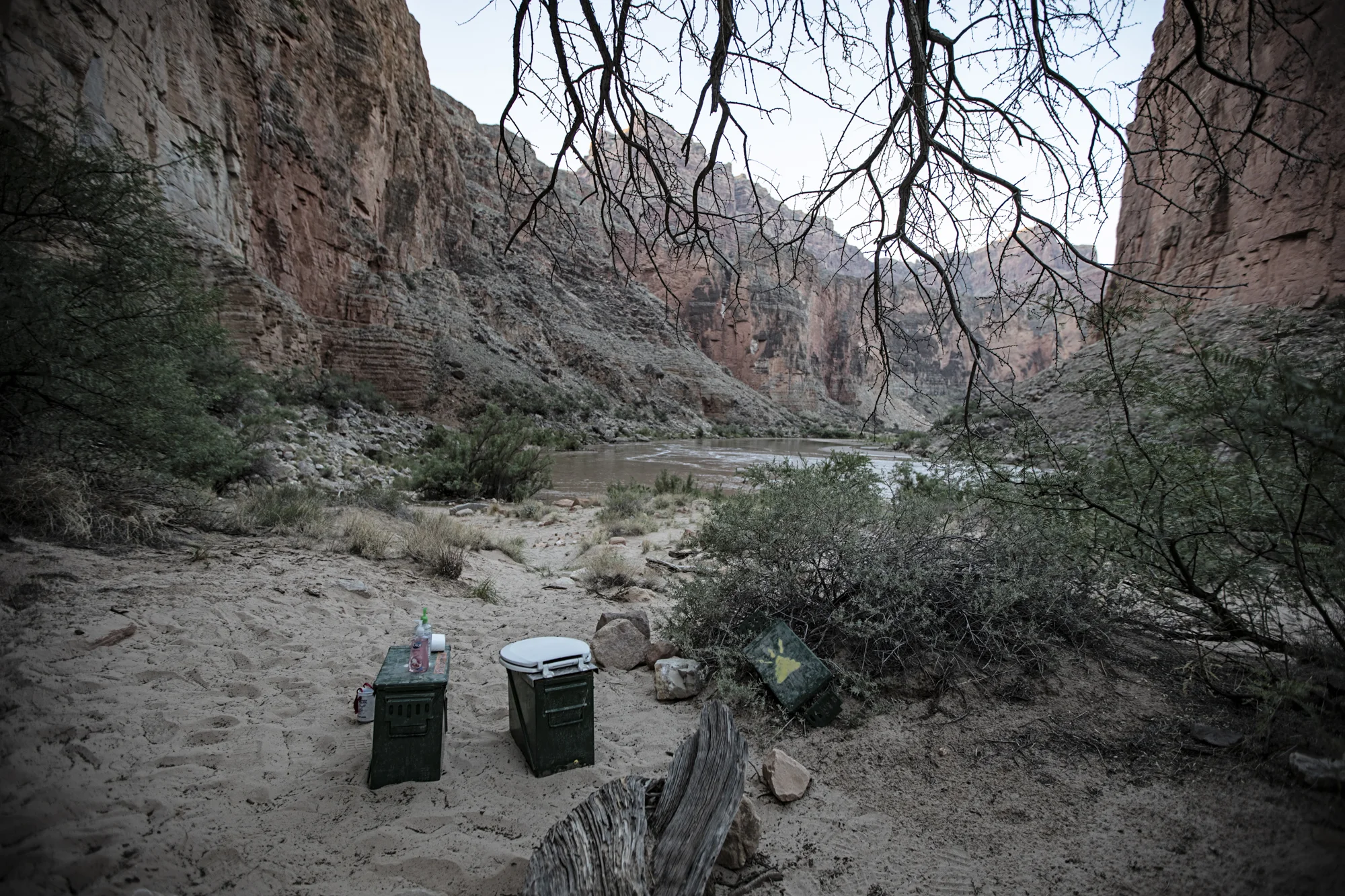 Morning views from the shitter.