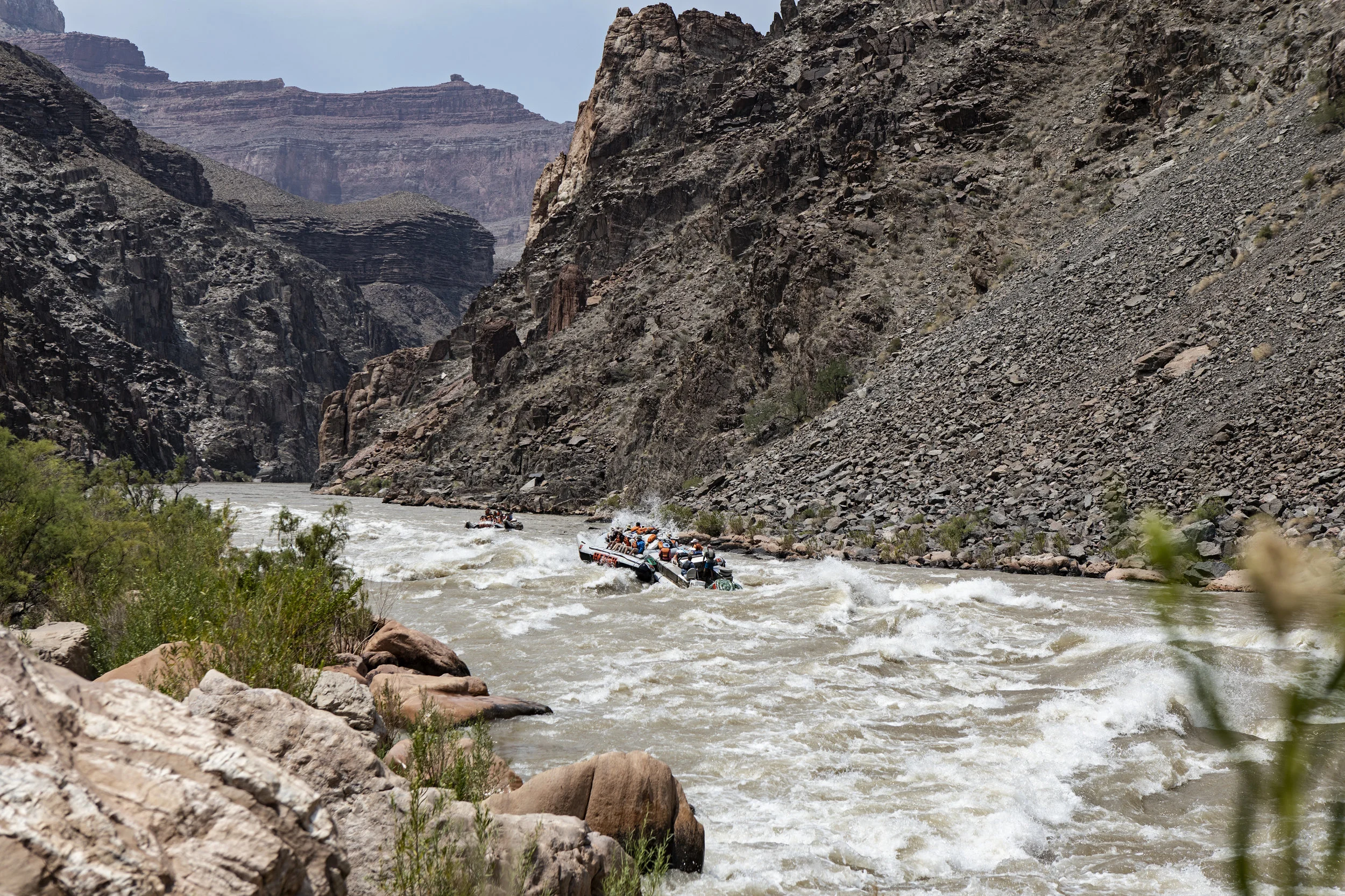 Hermit Rapid. Had lunch here and watched a commercial trip go through, losing a lot of their guests.