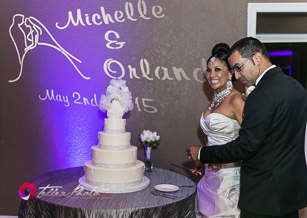 2015Orlando+Michelle_wedding_santaCruzCA-86.jpg