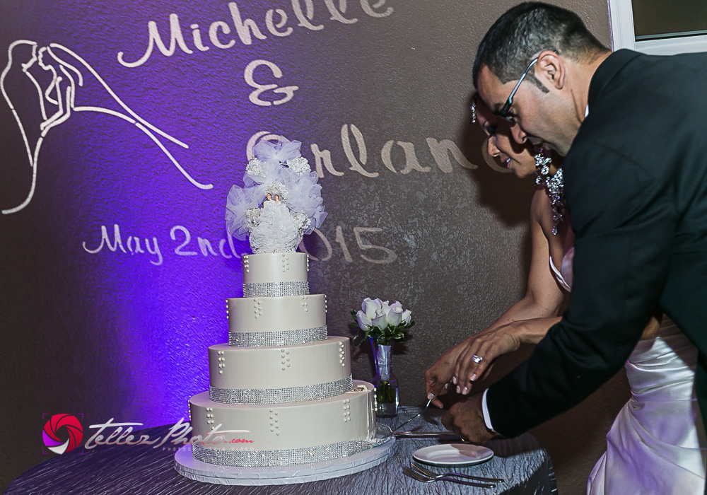 2015Orlando+Michelle_wedding_santaCruzCA-87.jpg