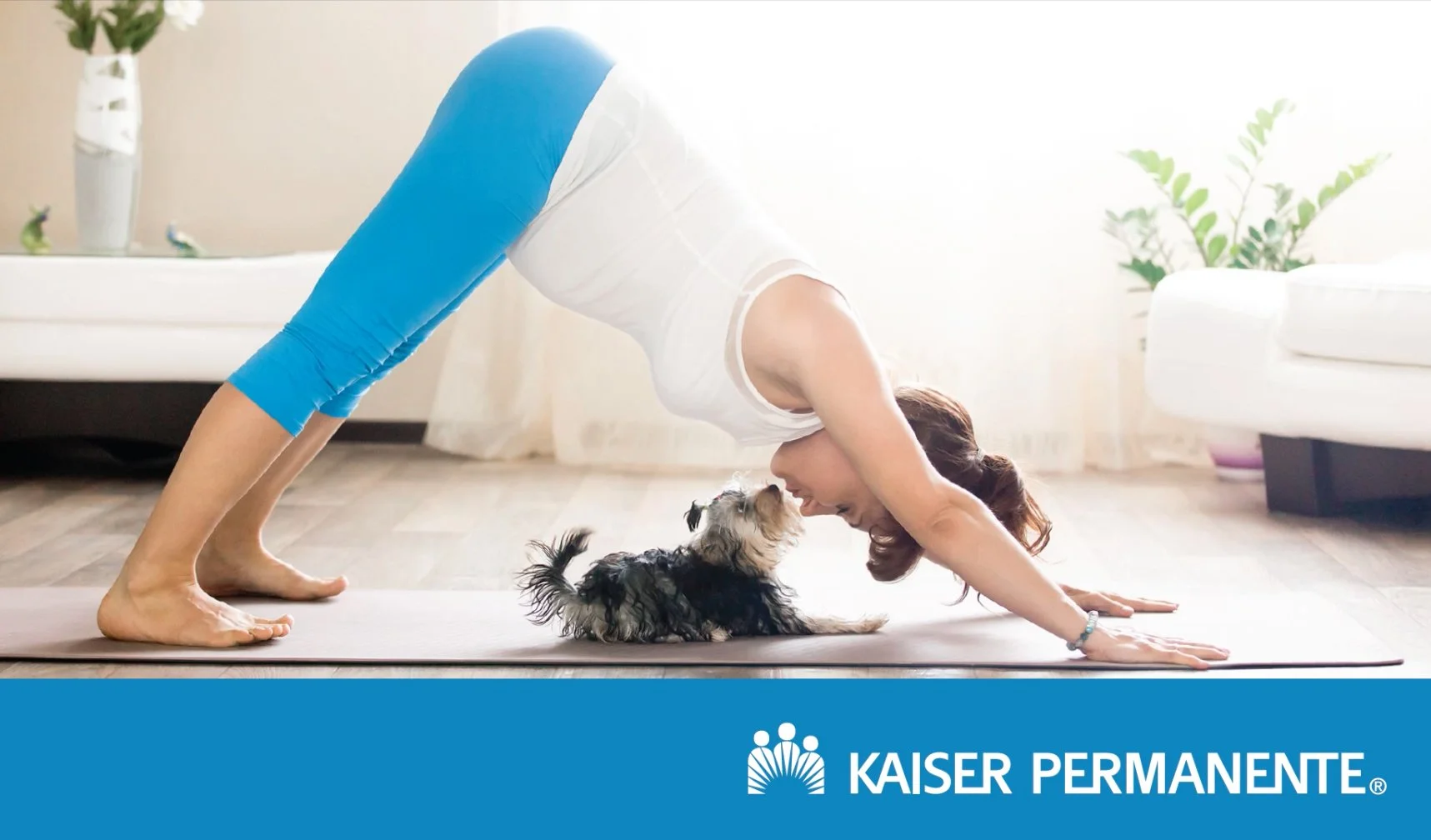 Digital Display used on exam room computer screens and on pharmacy kiosks.