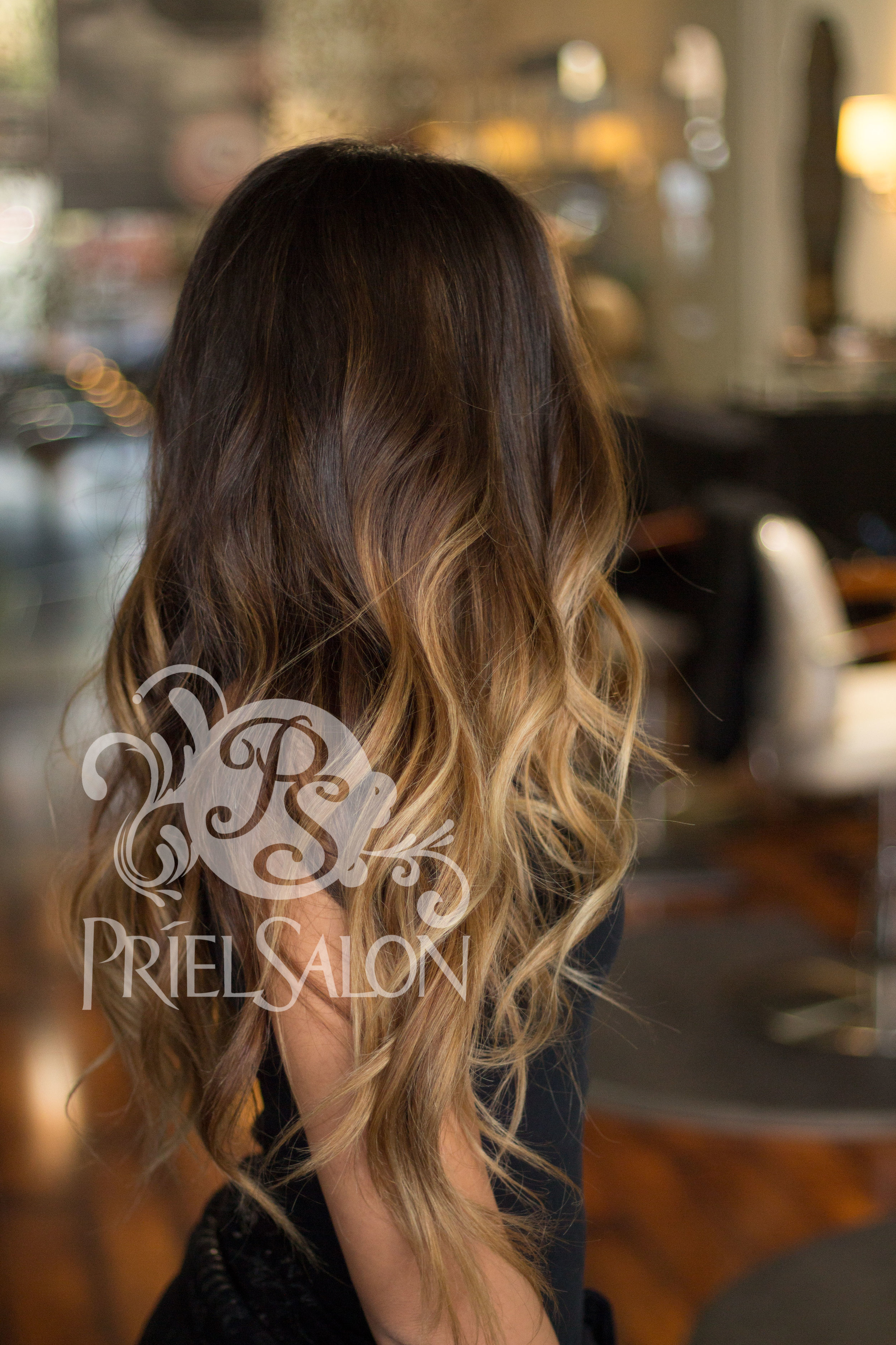 Color Services — Priel Salon Extensions & Balayage Specialists Tampa