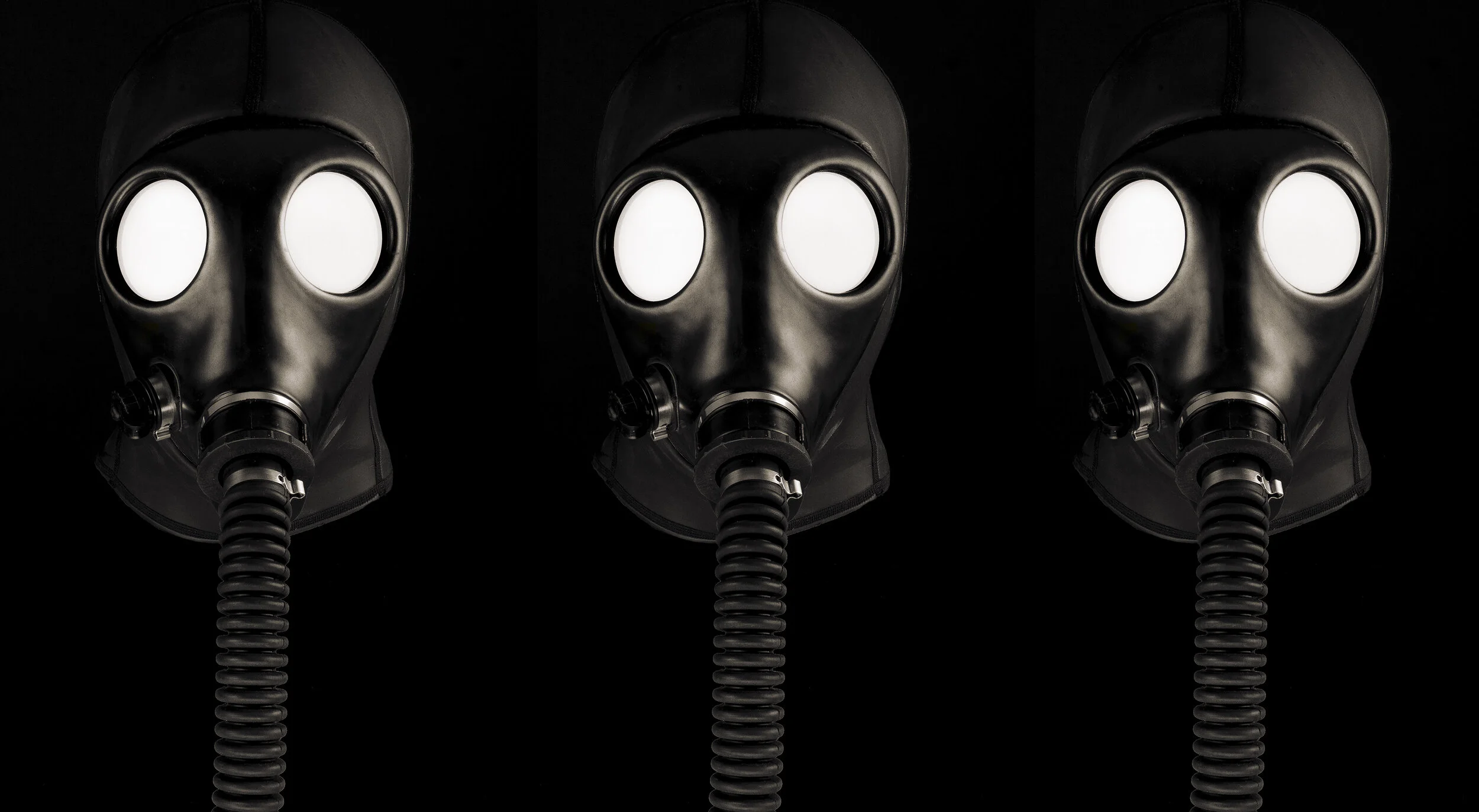 Killer Bees X 3.jpg