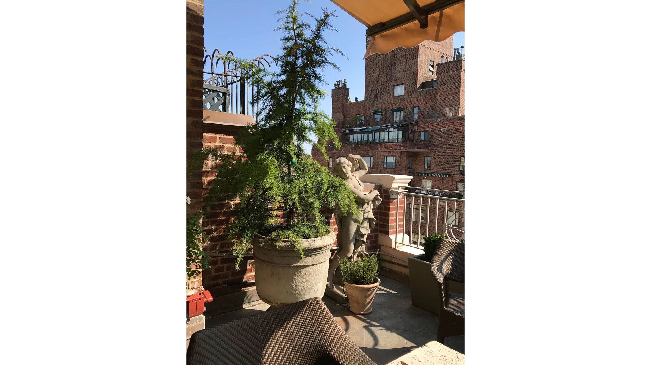 ZONE6 DESIGN - Landscape design in New York City