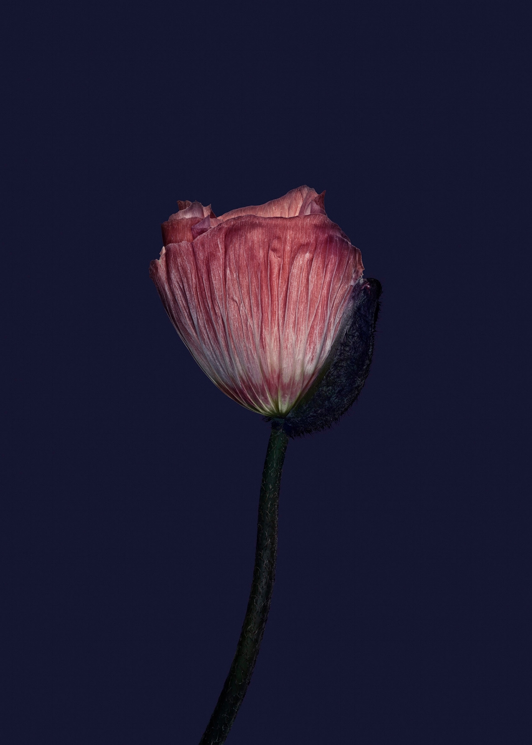 OBJEKT 9