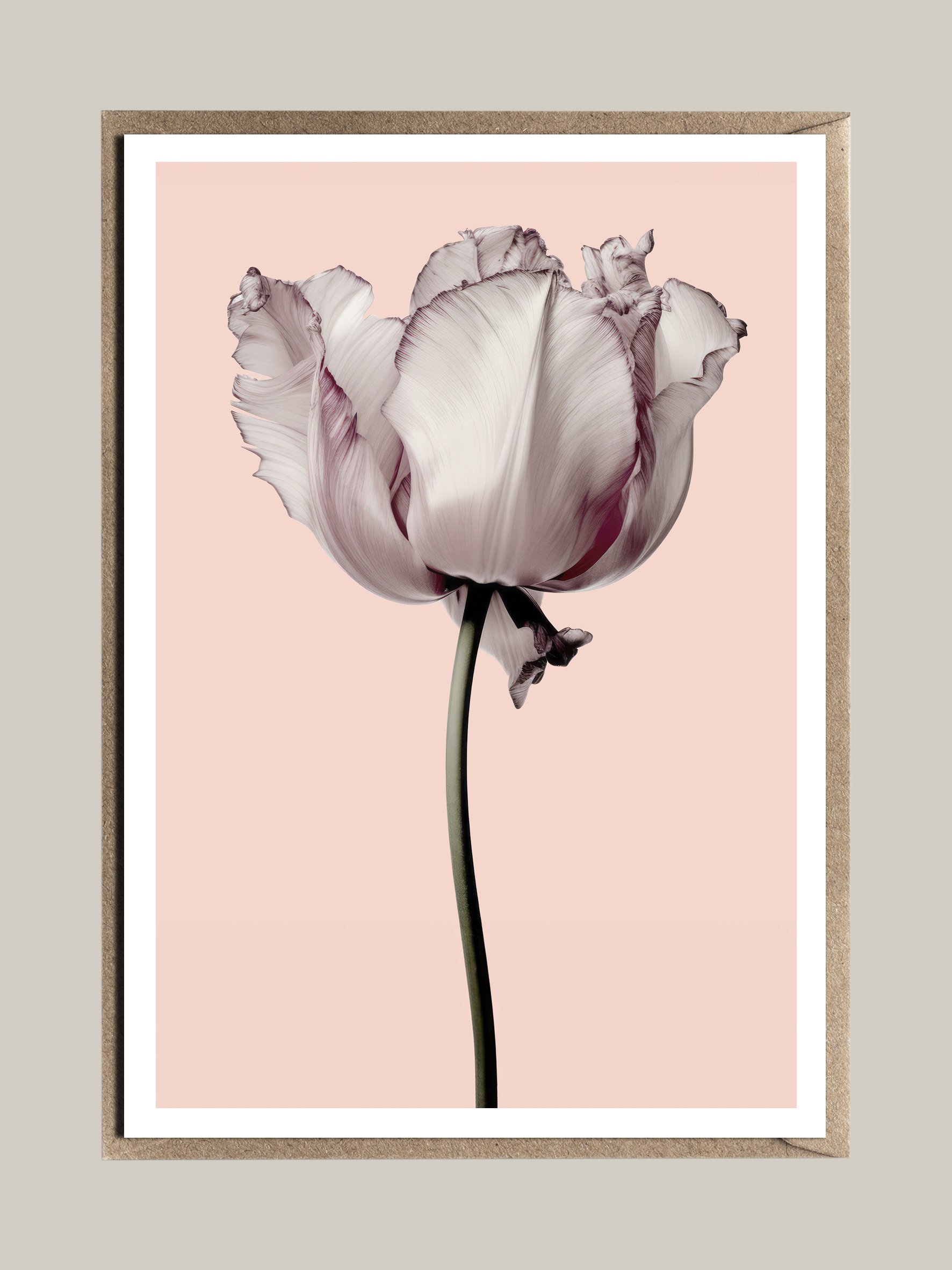 FAC_Floral_Elegance_rosa_tulip.jpg