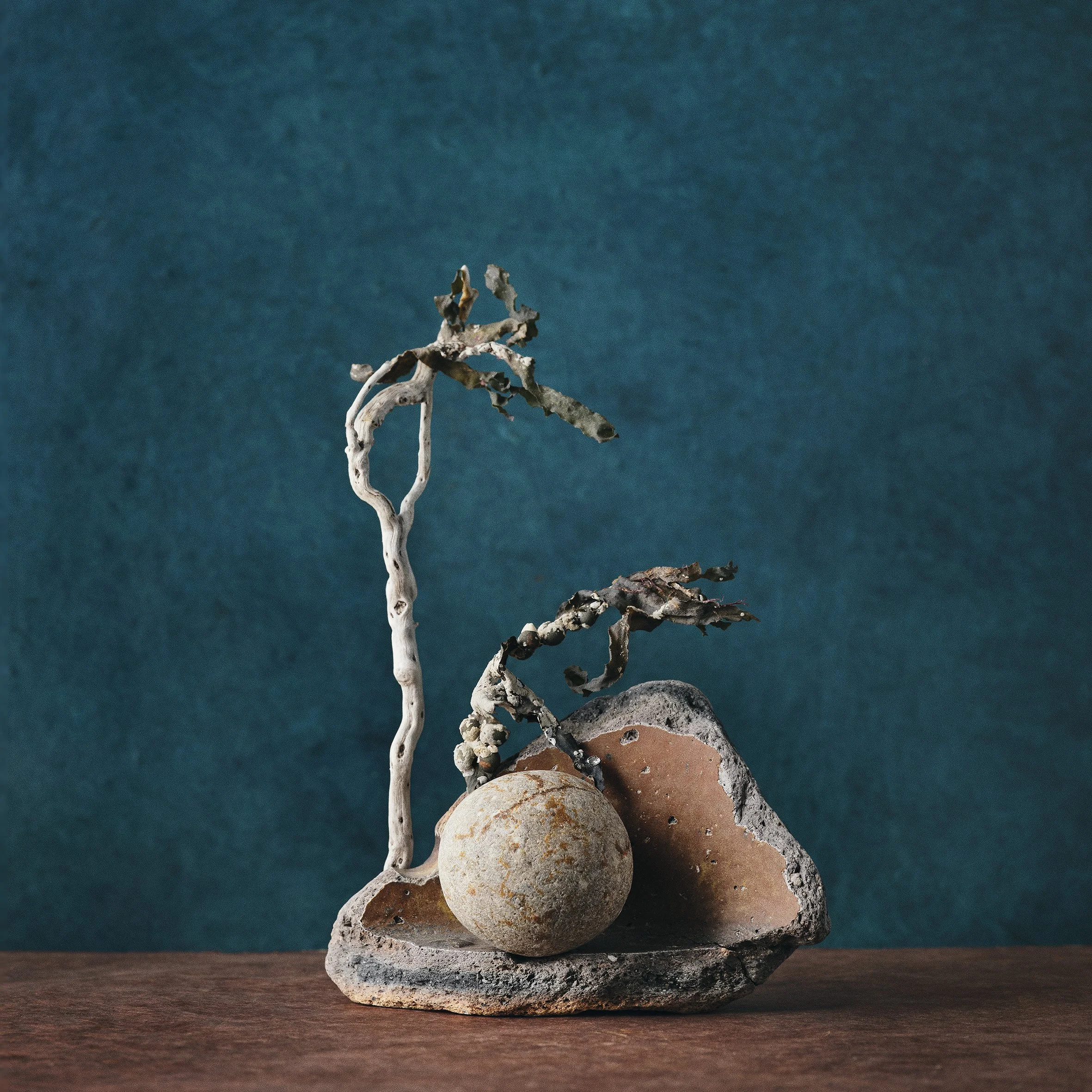 TIDAL STILL LIFE 2