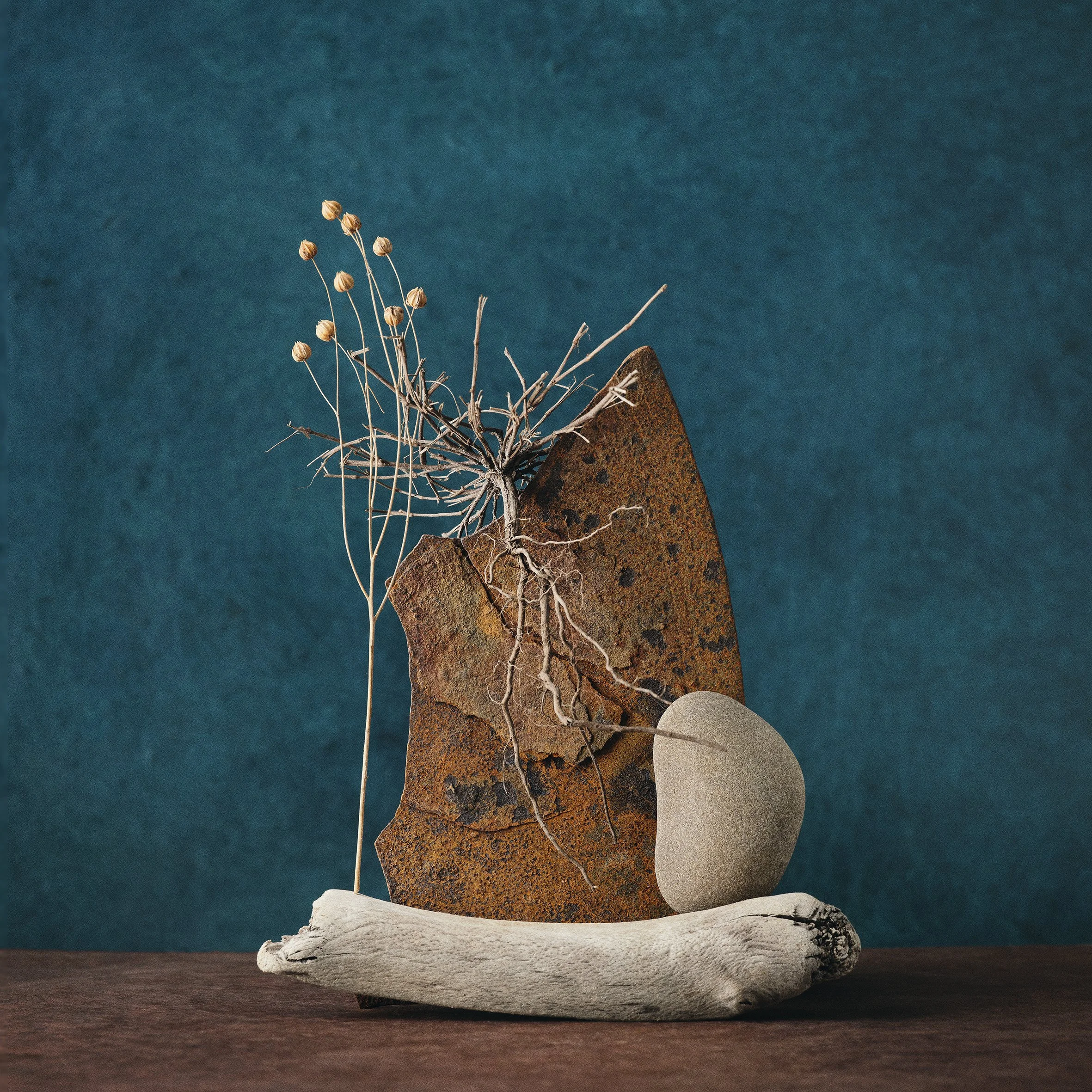 TIDAL STILL LIFE 1
