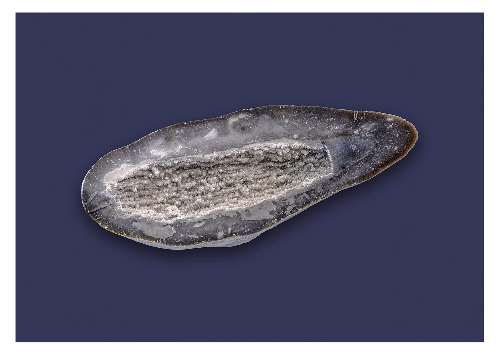 Silica sponge with quartz crystals.jpg