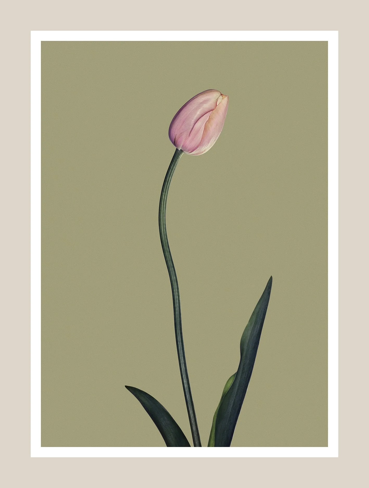 EG_Artwork_Objekt_8_Tulipan2.jpg