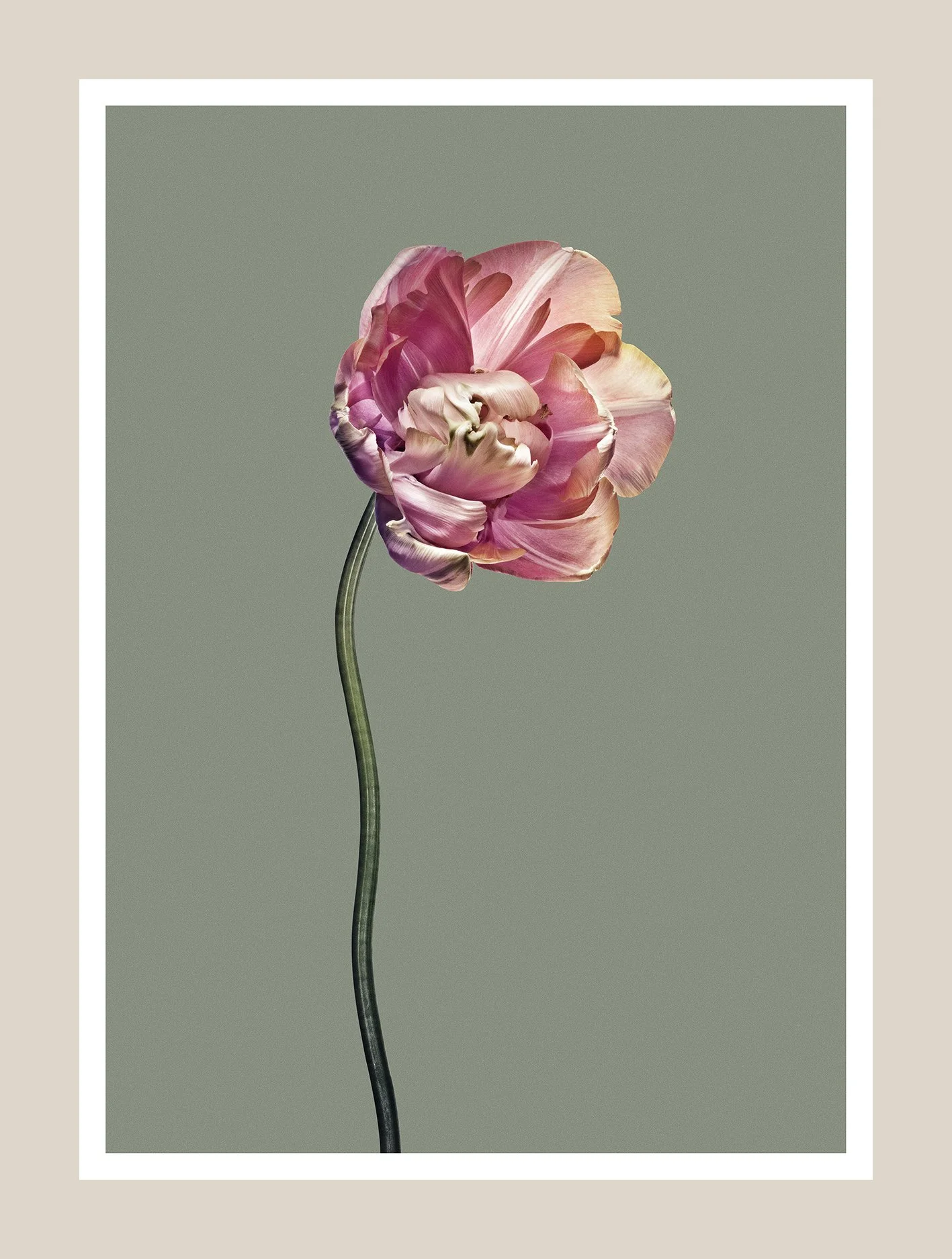 EG_Artwork_Objekt_3_Papa_Tulipan.jpg