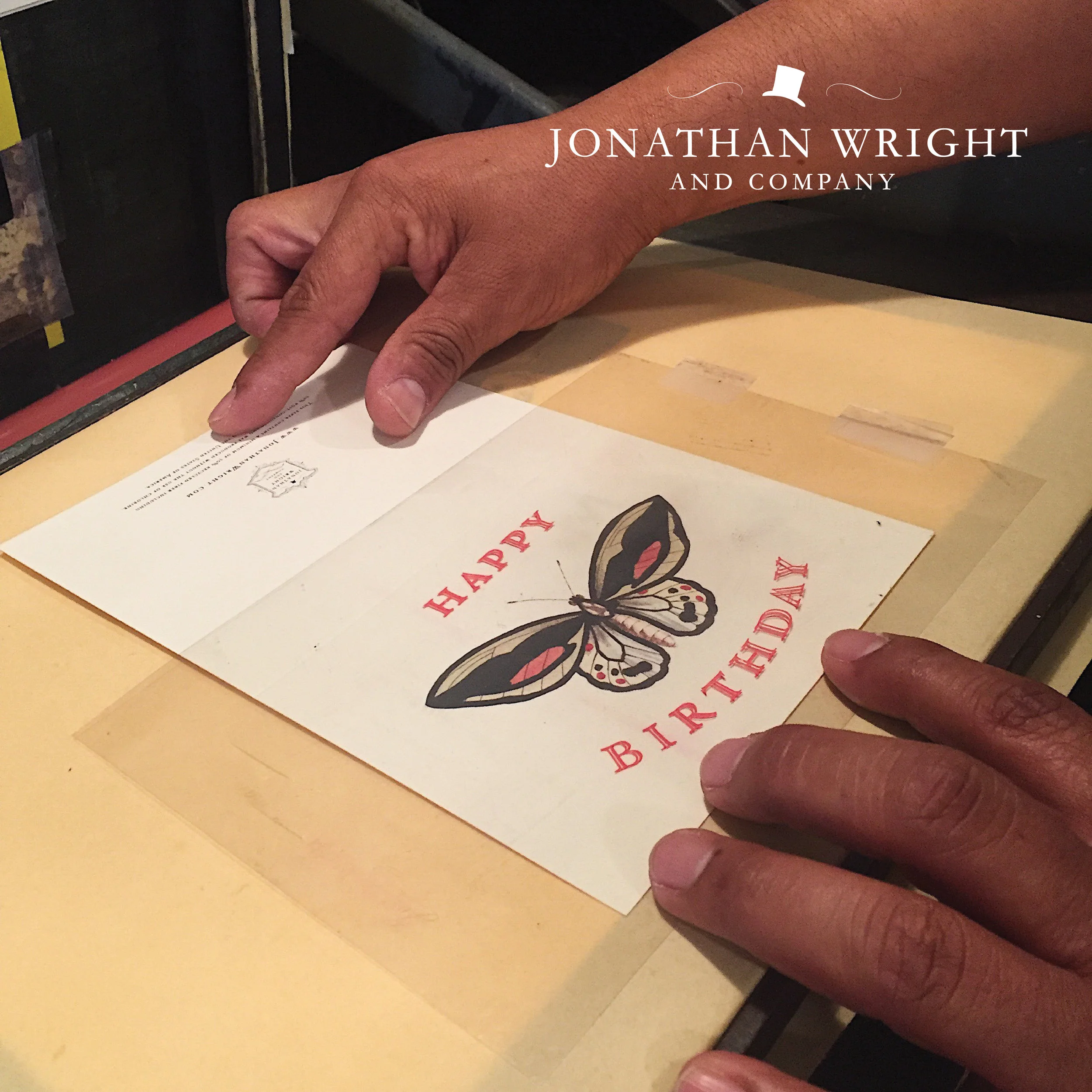 PAPILLON EXOTIQUE 3.jpg