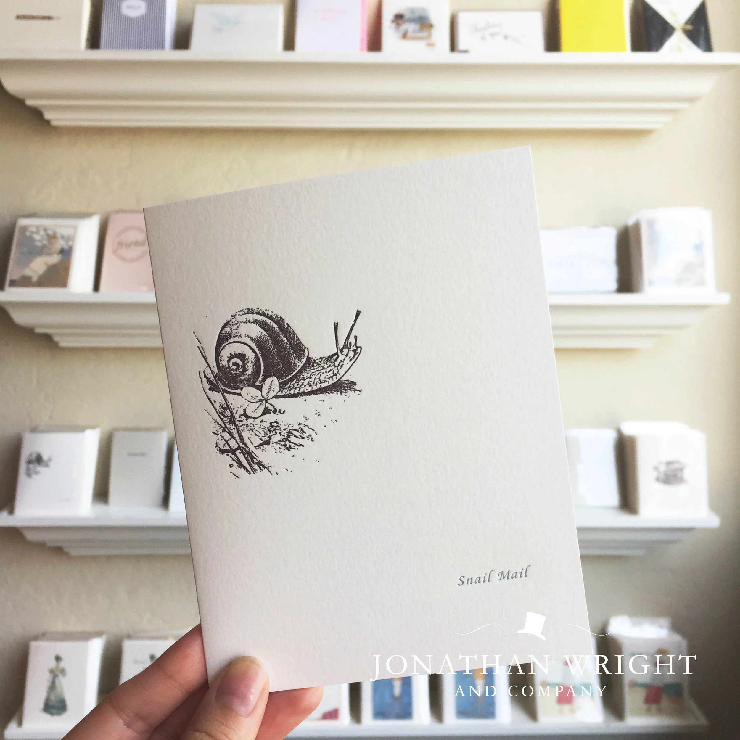 SNAIL MAIL 2.jpg