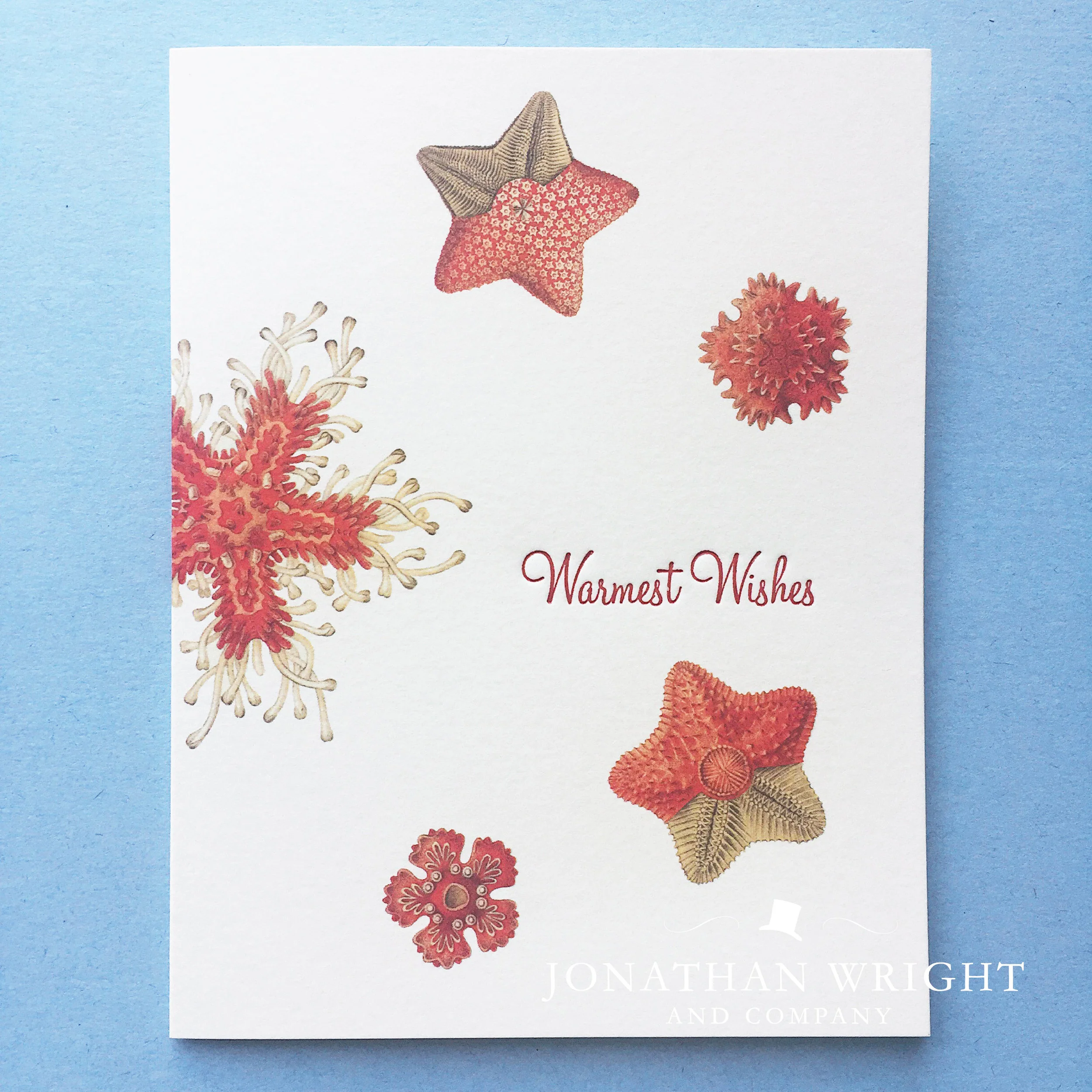 SANDY GREETINGS - WARMEST WISHES.jpg