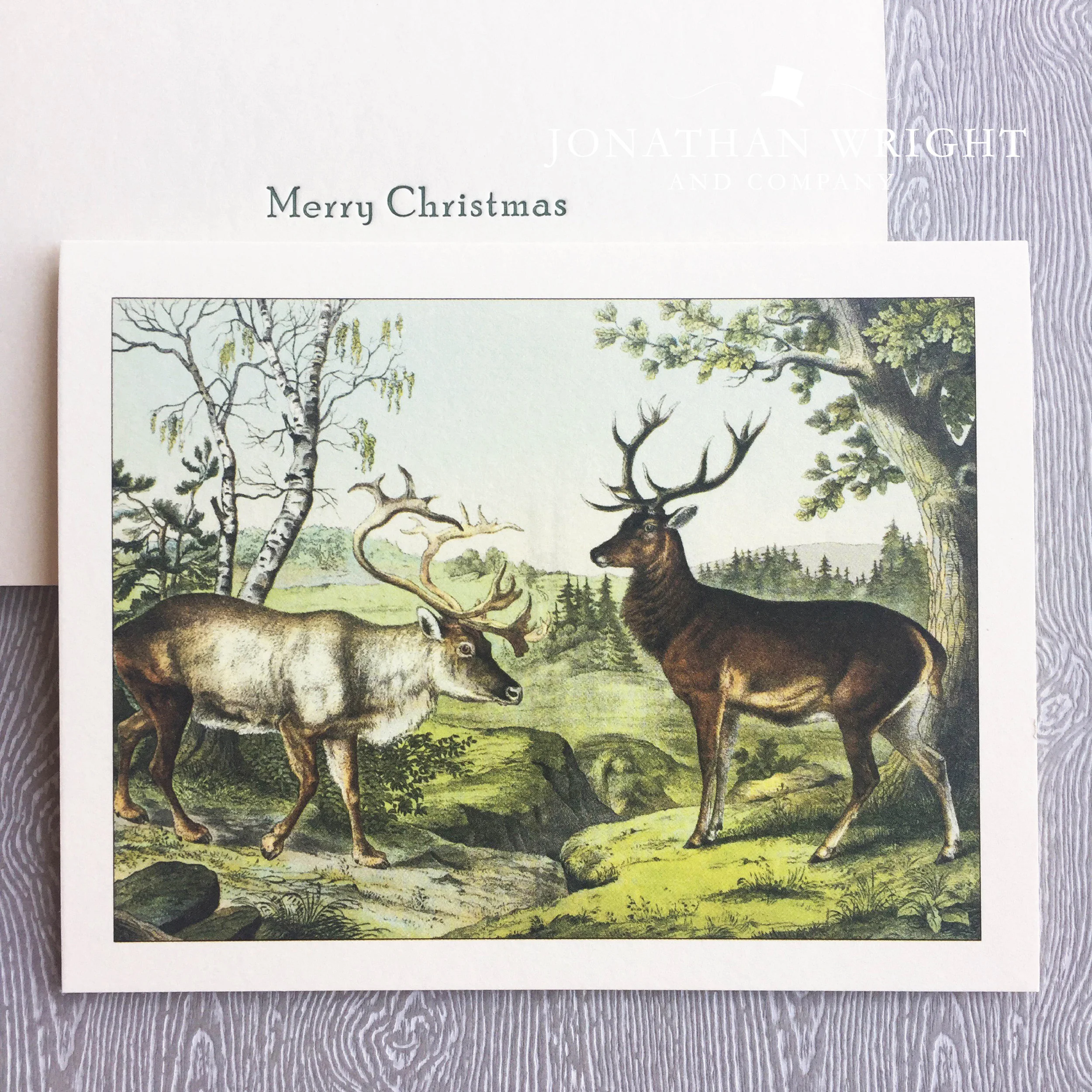 DEER FRIENDS MERRY CHRISTMAS.jpg