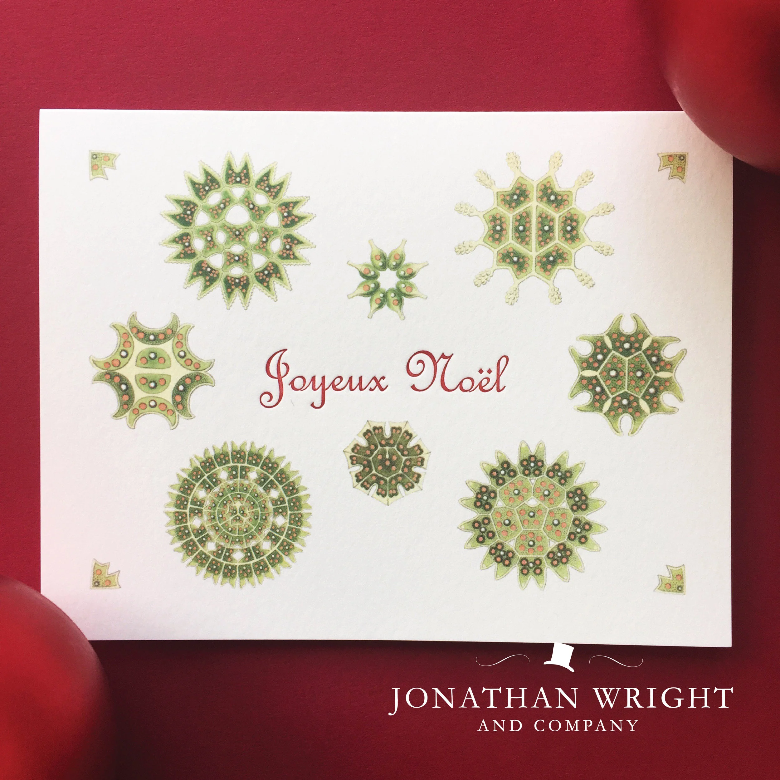 NATURE'S ORNAMENT - JOYEAUX NOEL.jpg