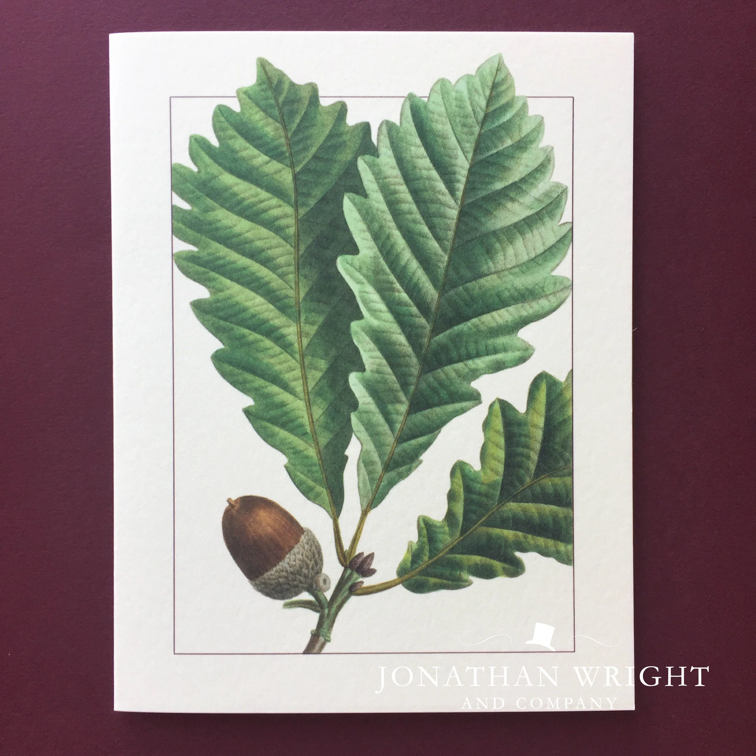 OAK SPRIG.jpg