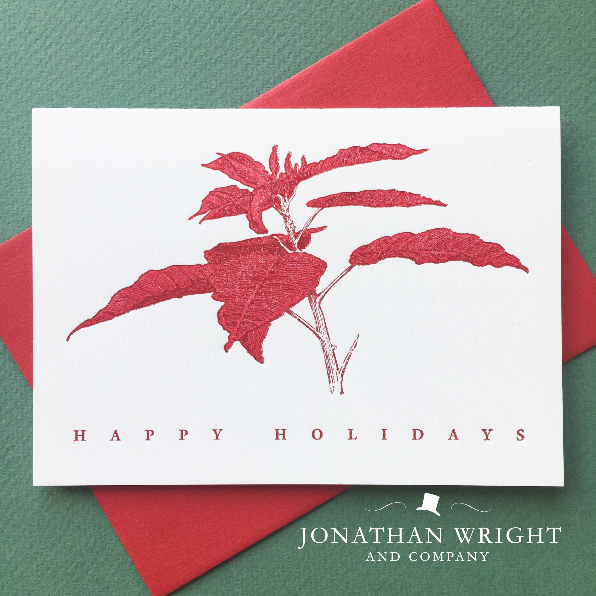Red Poinsettia.jpg