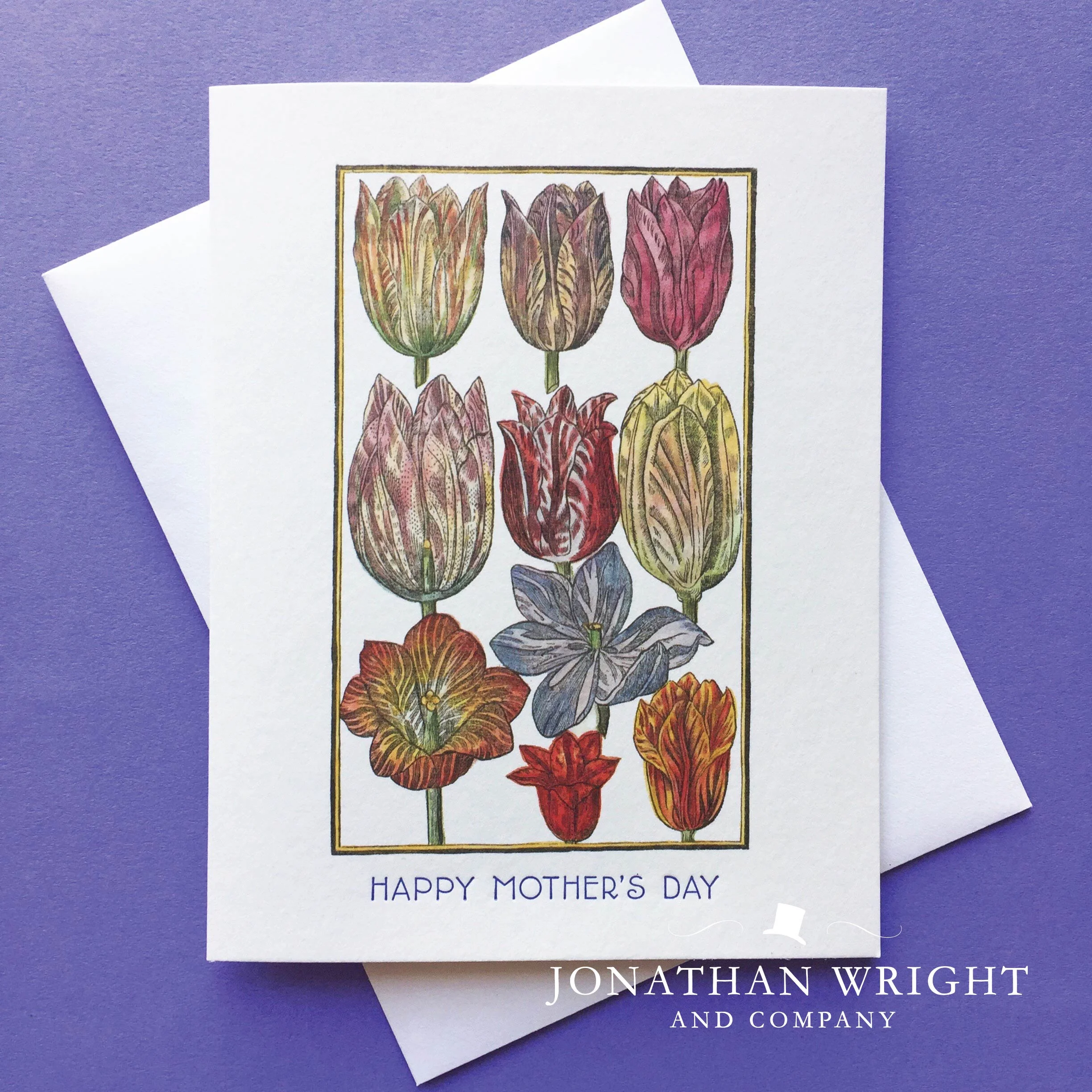 GARDEN TULIP MOTHER.jpg