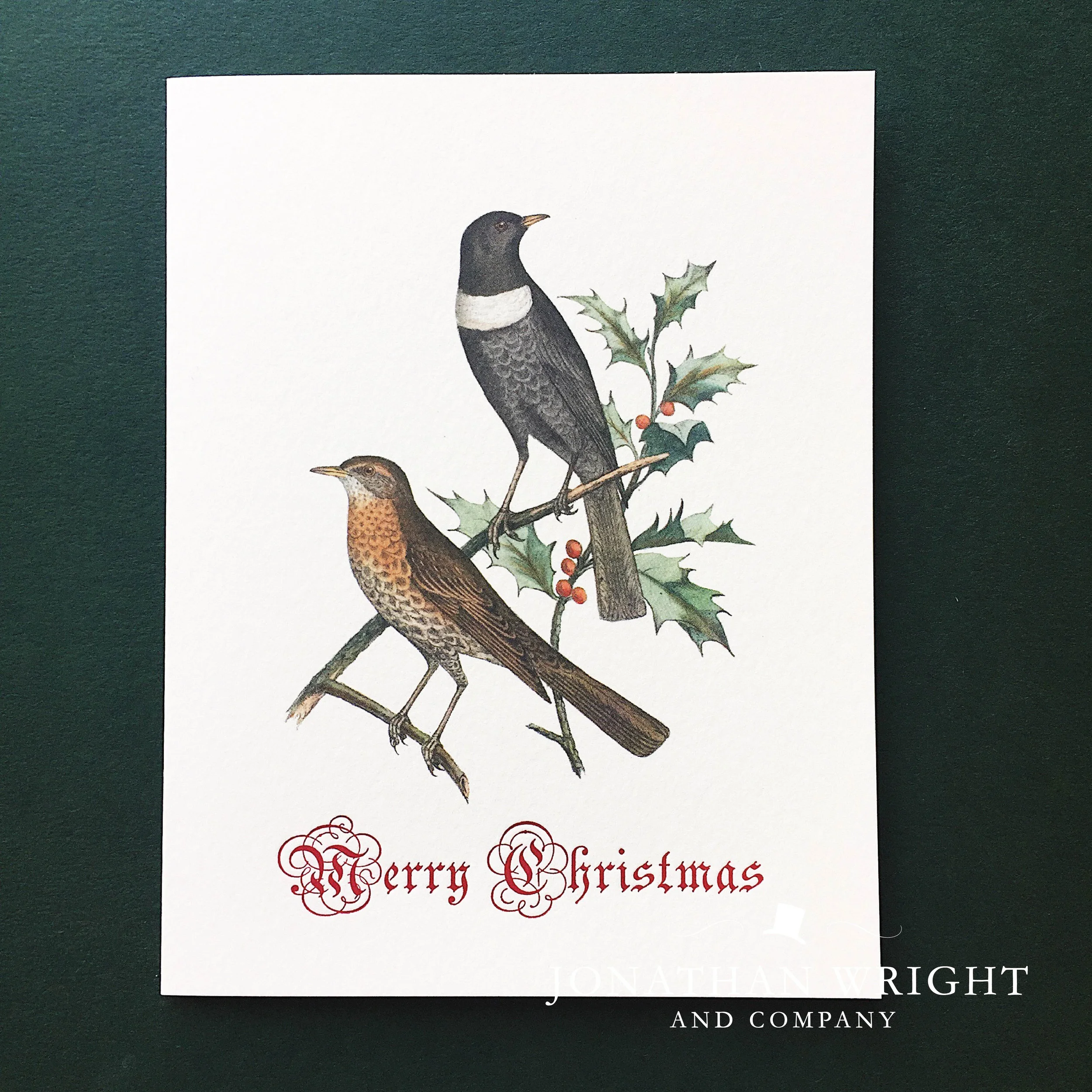 BIRDS O' HOLLY - MERRY CHRISTMAS.jpg