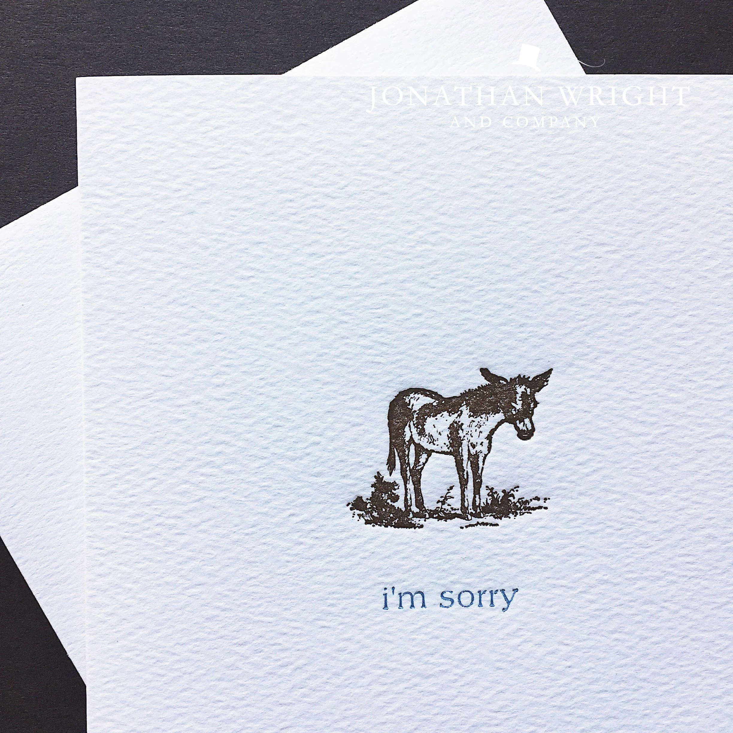 DONKEY I'M SORRY 2.jpg