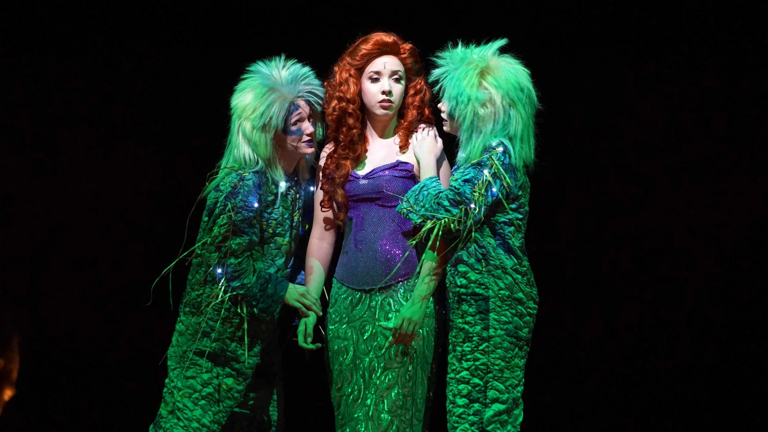Nov11 LittleMermaid102.jpg