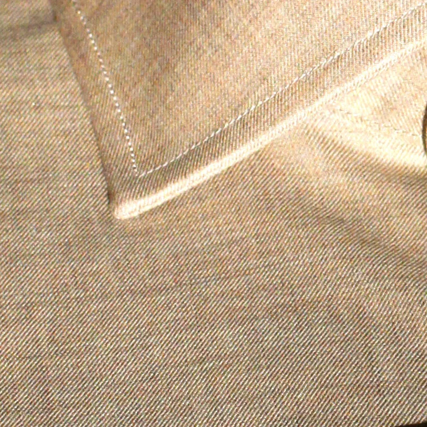IMG_3240_zoom.jpg
