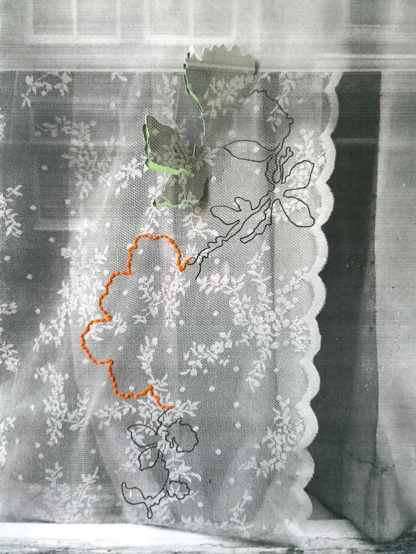 A Stitch, A Line, A Path 